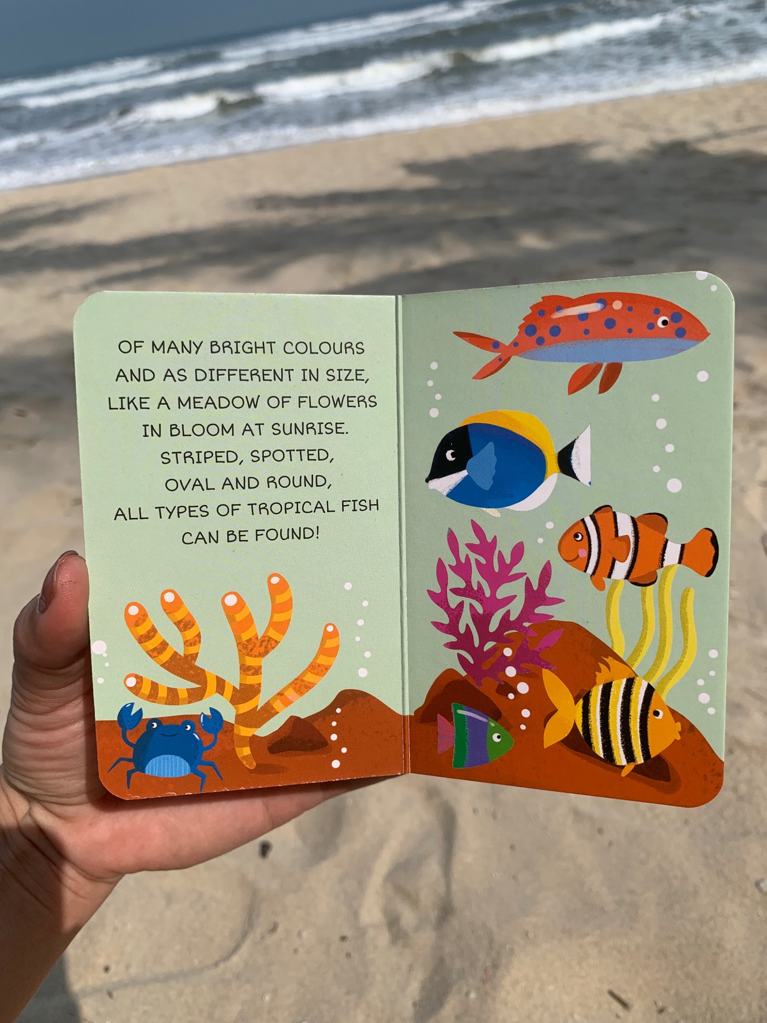 MY FIRST LIBRARY - THE SEA (xả vỡ hộp)_thumbnail_14