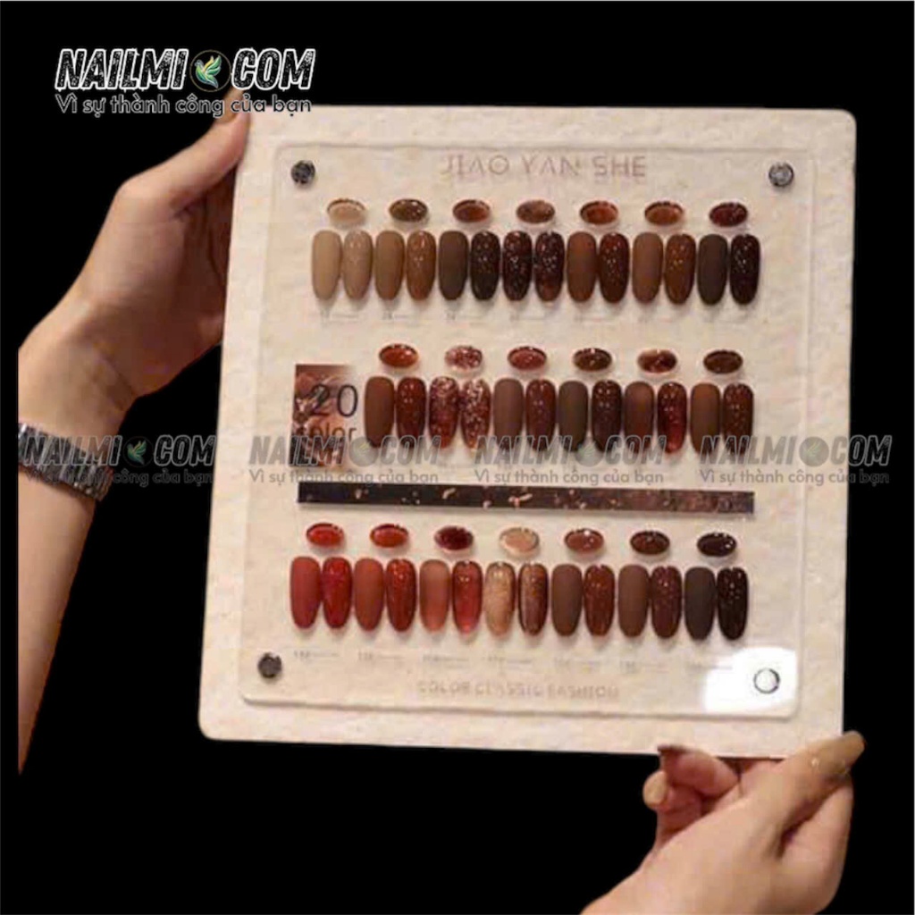 Sét sơn gel - Tông nâu - 20 màu - JIAOYANSHE