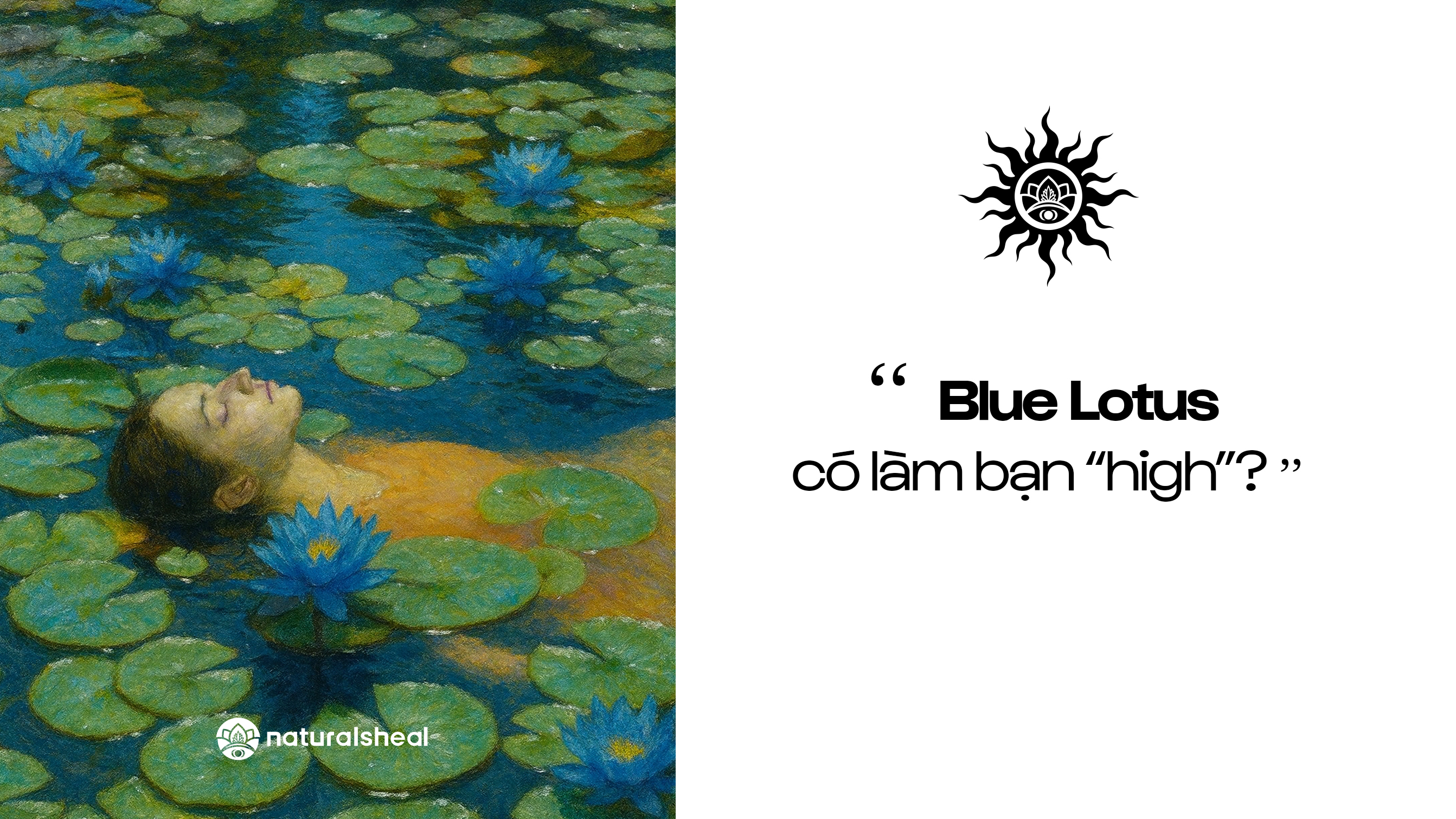 Blue Lotus có gây phụ thuộc không, cách tác động đến hệ thần kinh