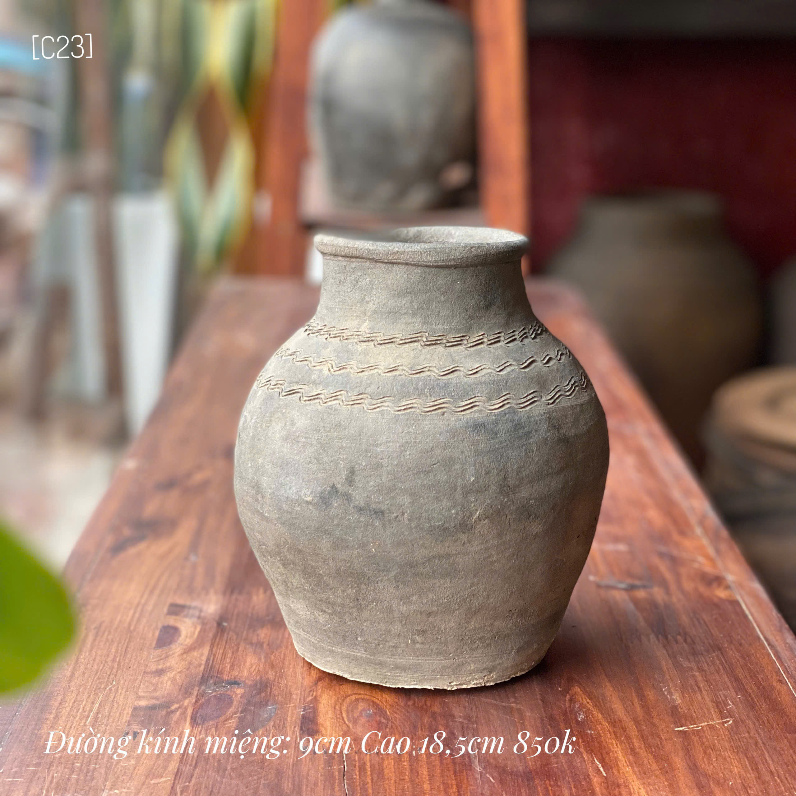 Bình Mường Chanh nhỏ - C23