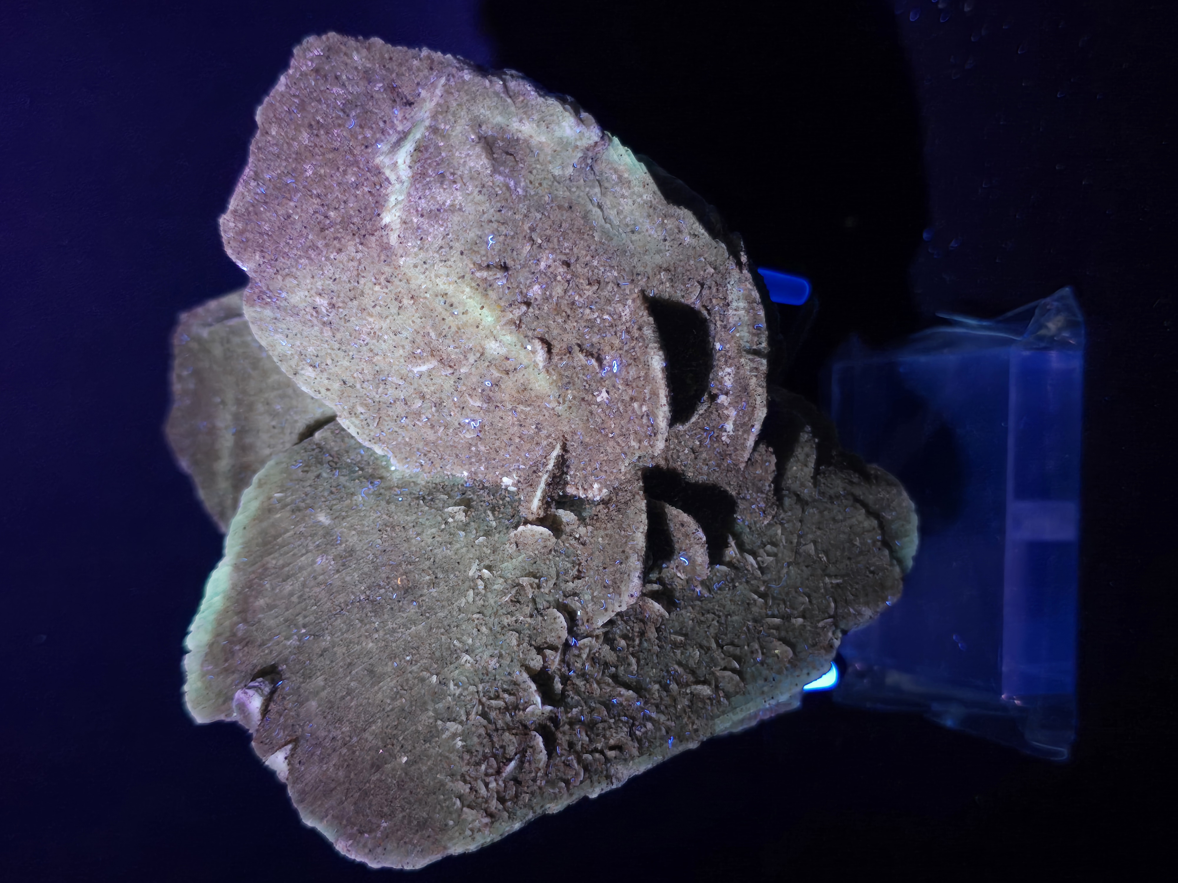 Tinh Thể Hoa Hồng Sa Mạc Desert Rose (có phản ứng UV) - Nội Mông_thumbnail_5