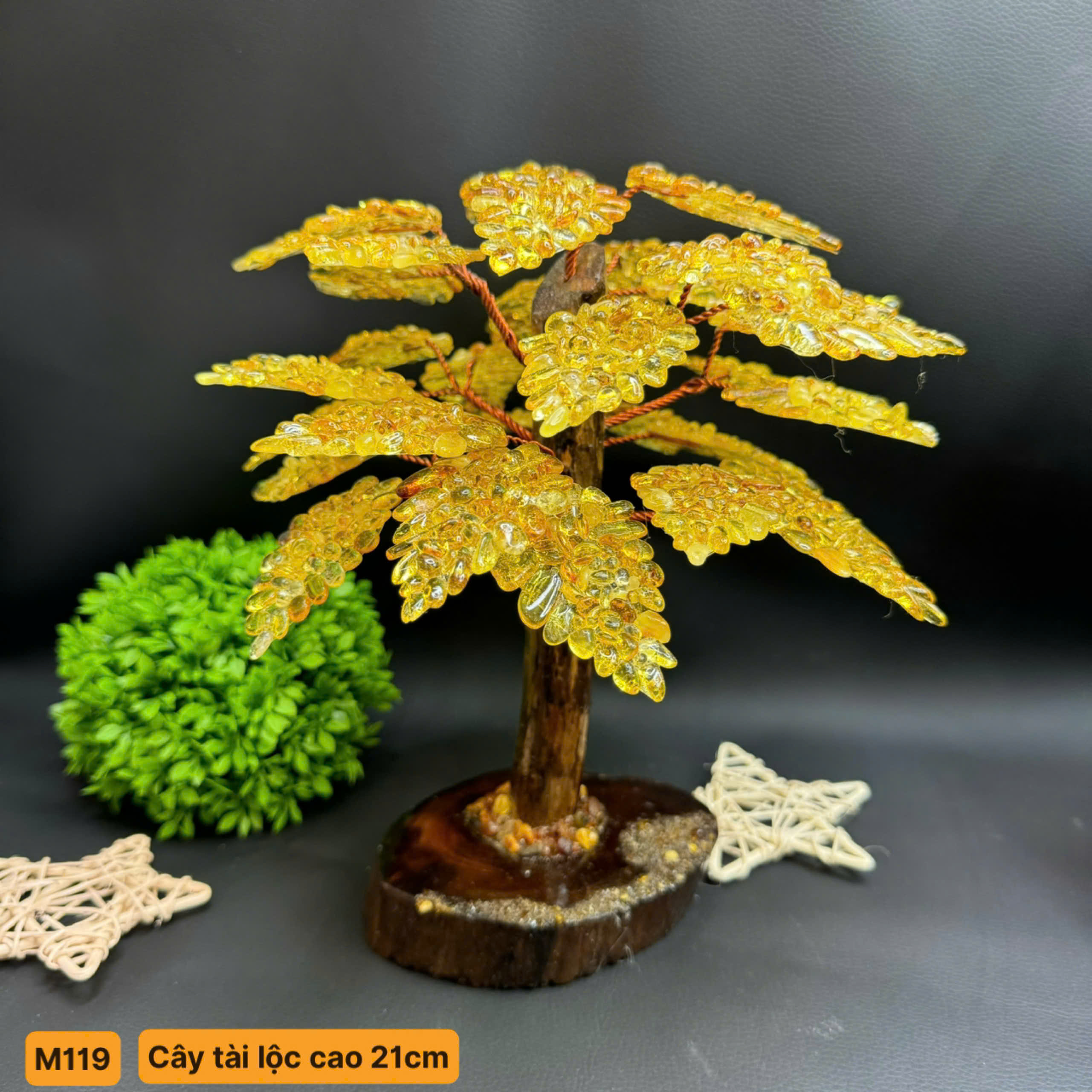 Cây Tài Lộc - M119