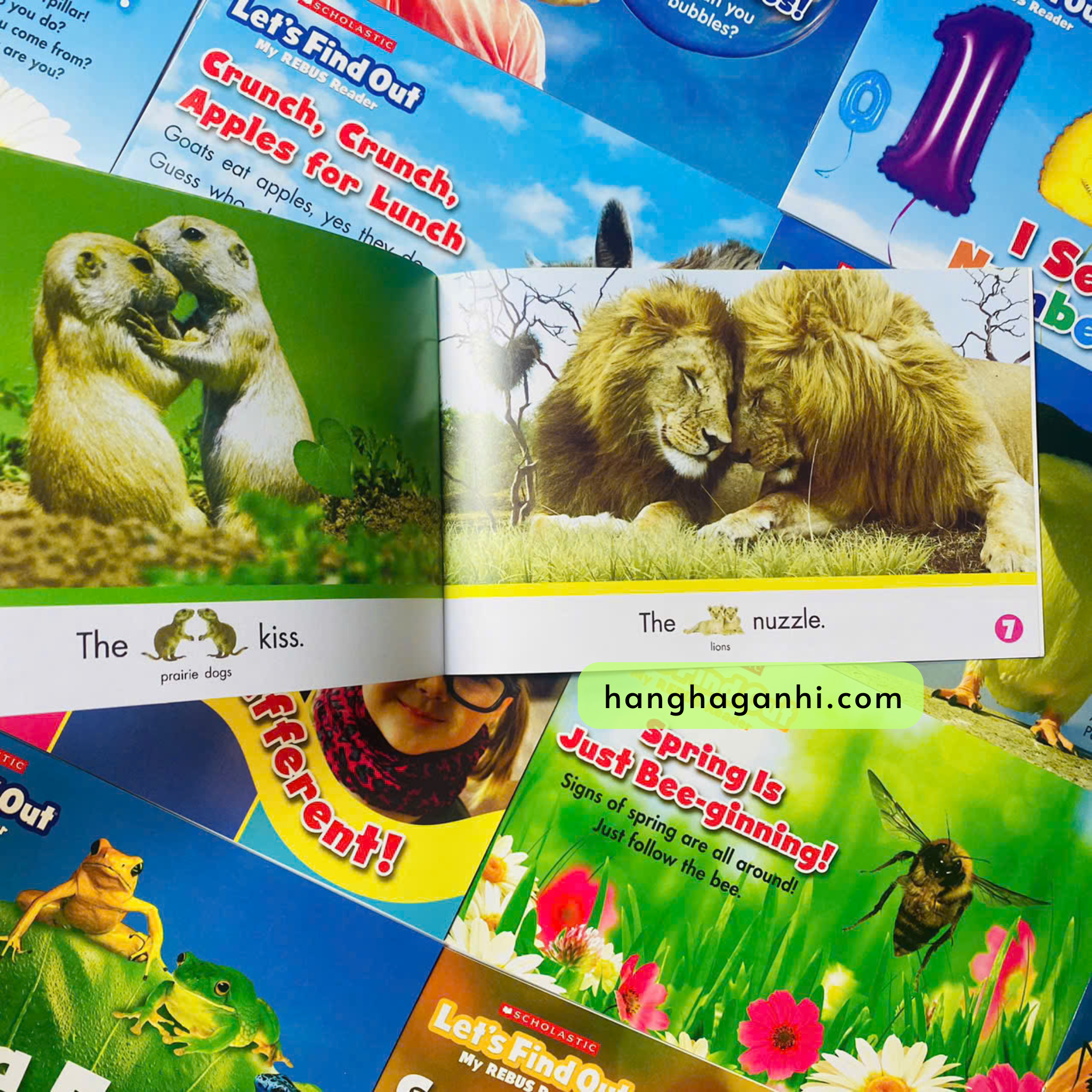 Let’s Find Out – My REBUS Reader_thumbnail_4