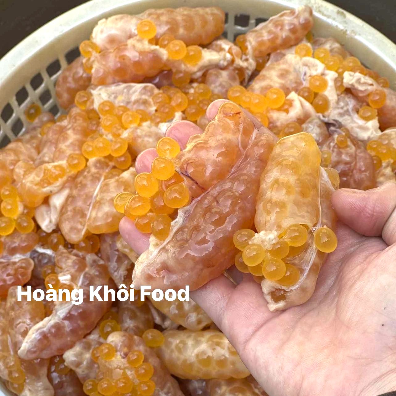 Trứng Cá Thiều_thumbnail_3