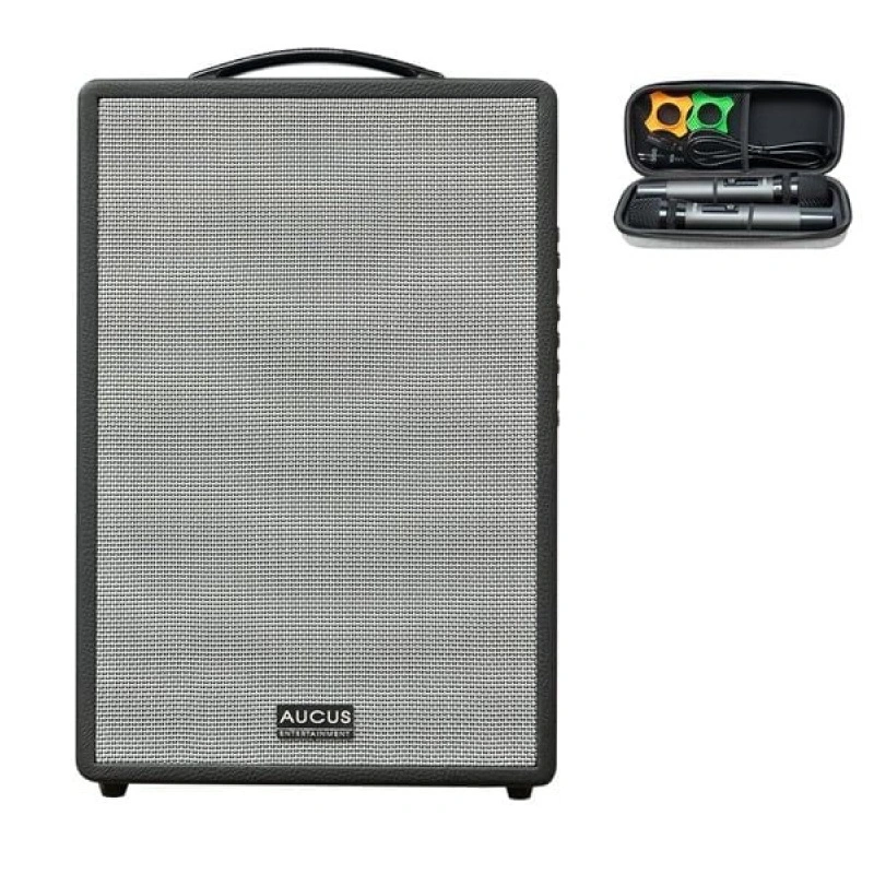 Loa Acnos AUCUS X300 _thumbnail_3