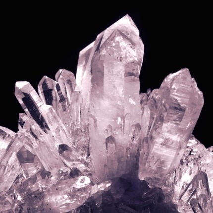 PREMIUM COLLECTION_1