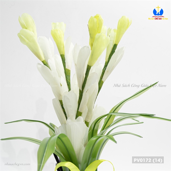 Hoa huệ điện_thumbnail_4