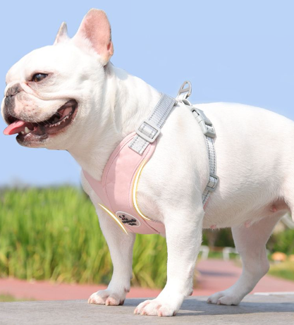 สายจูงสัตว์เลี้ยงแบบเสื้อกั๊ก – ปลอดภัยและสะดวกสบายสำหรับเจ้านาย_thumbnail_5
