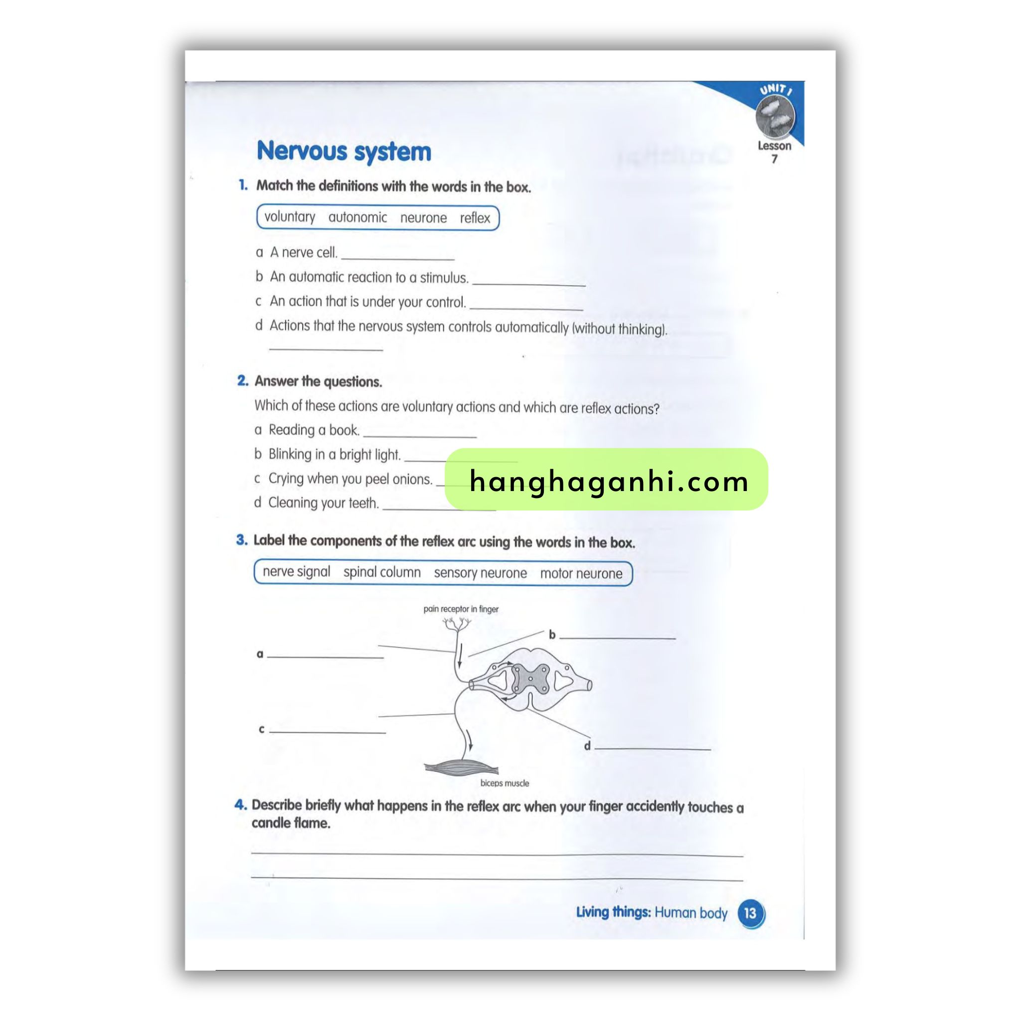 Macmillan Science 6 Workbook_thumbnail_9