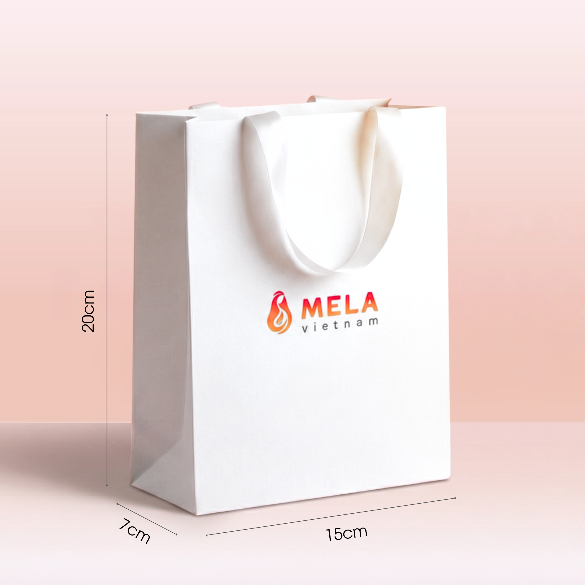 Túi Giấy Quà Tặng Mela_thumbnail_2