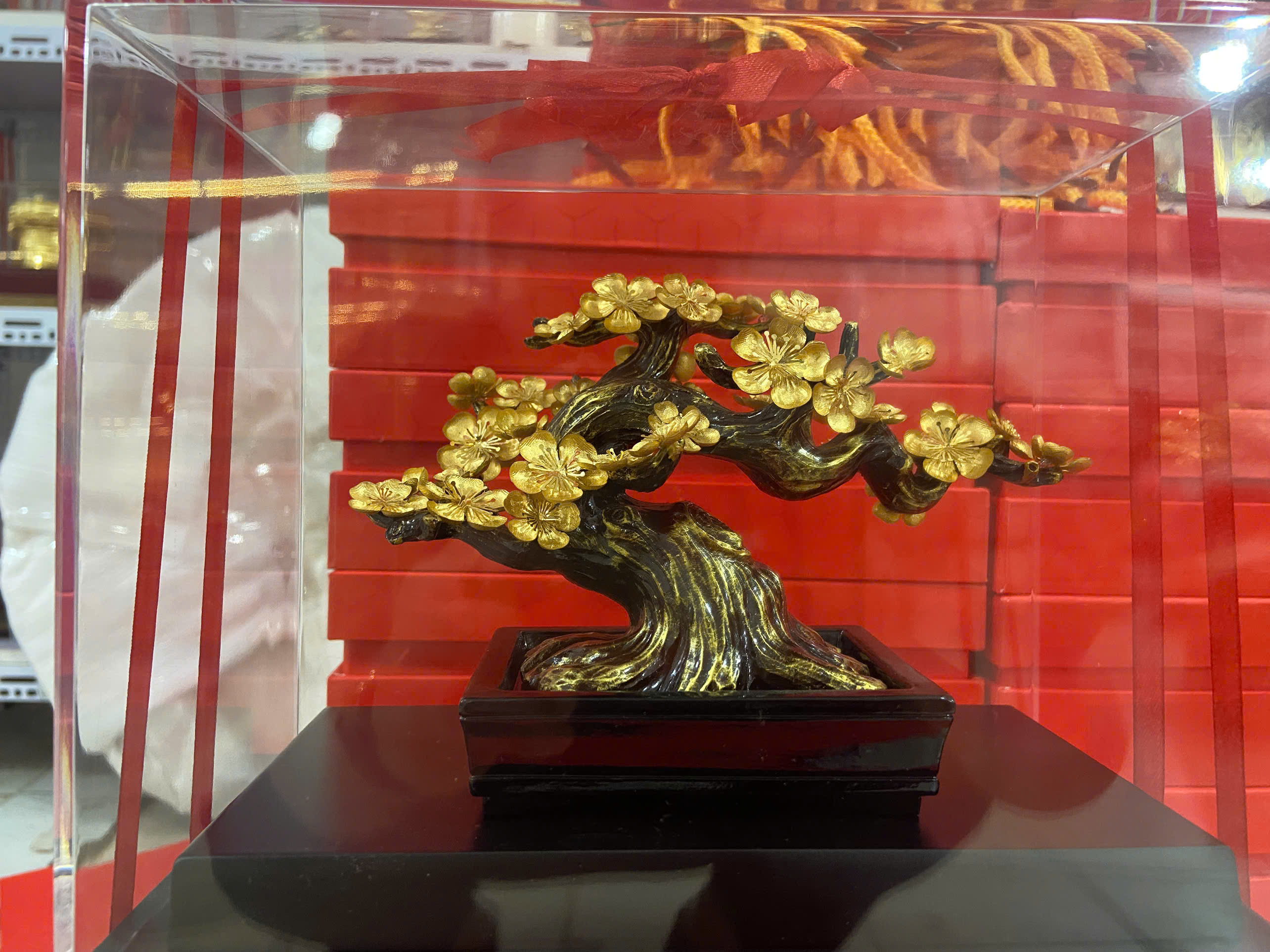 Cây Mai Bonsai Dát Vàng 24k KT 19x24x15 (cm)_thumbnail_2