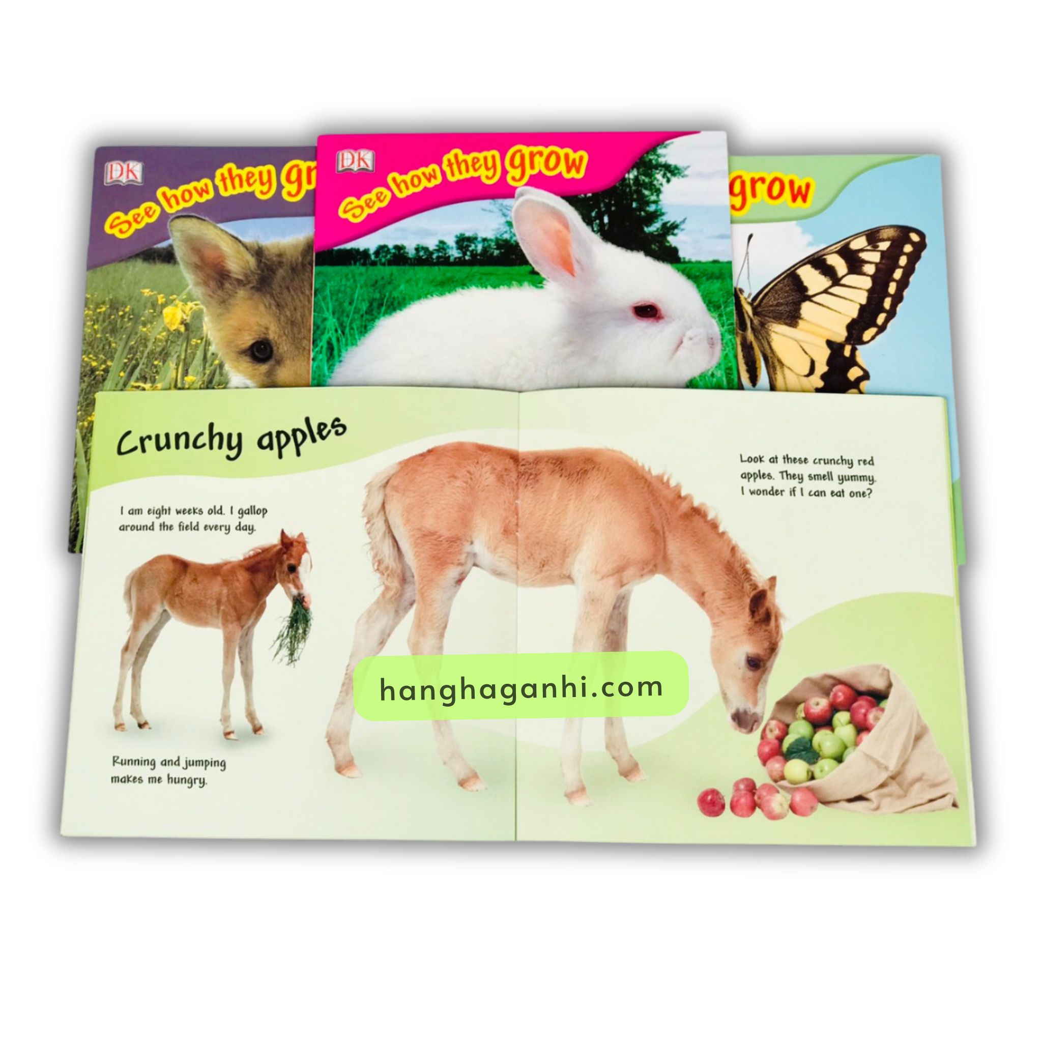 Bộ See How They Grow – Truyện về vòng đời các con vật – 14 Cuốn ( Kèm File Nghe)_thumbnail_3