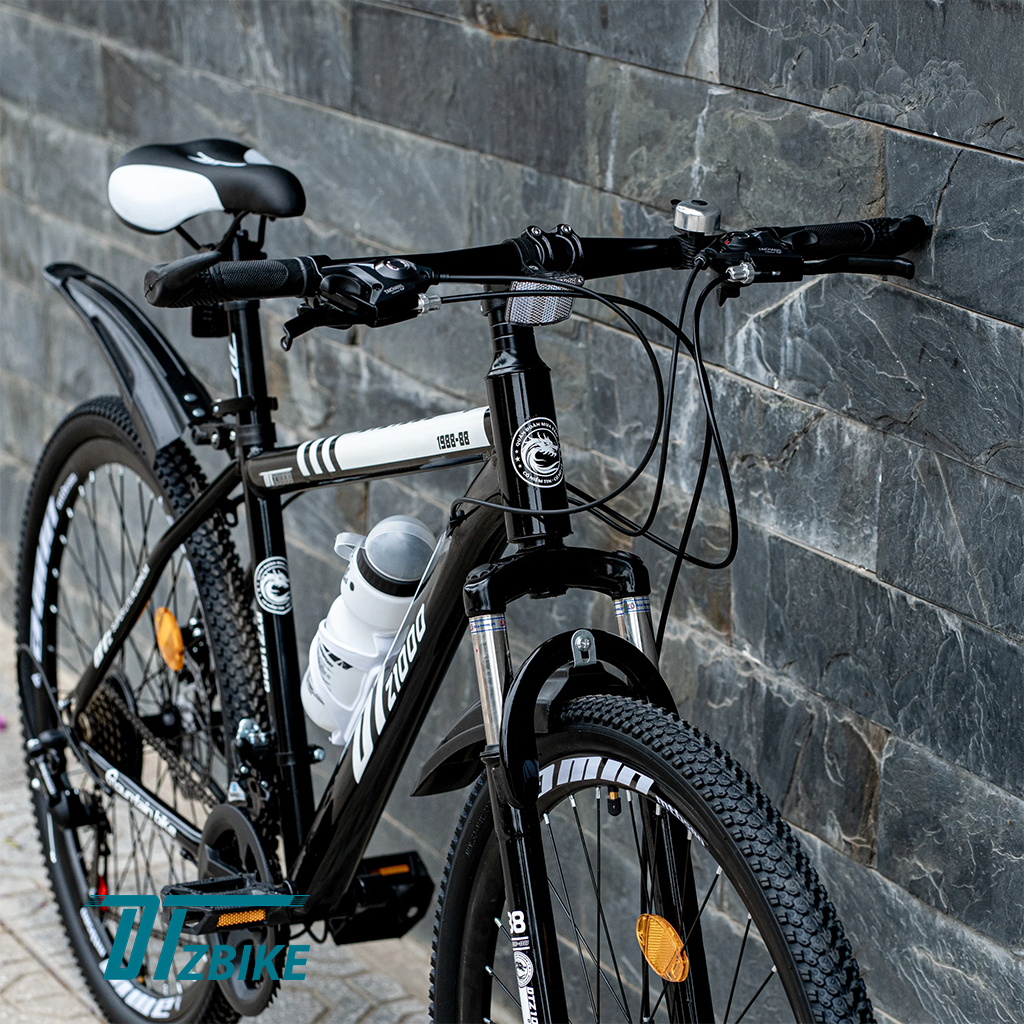 Khung xe đạp dtz1000