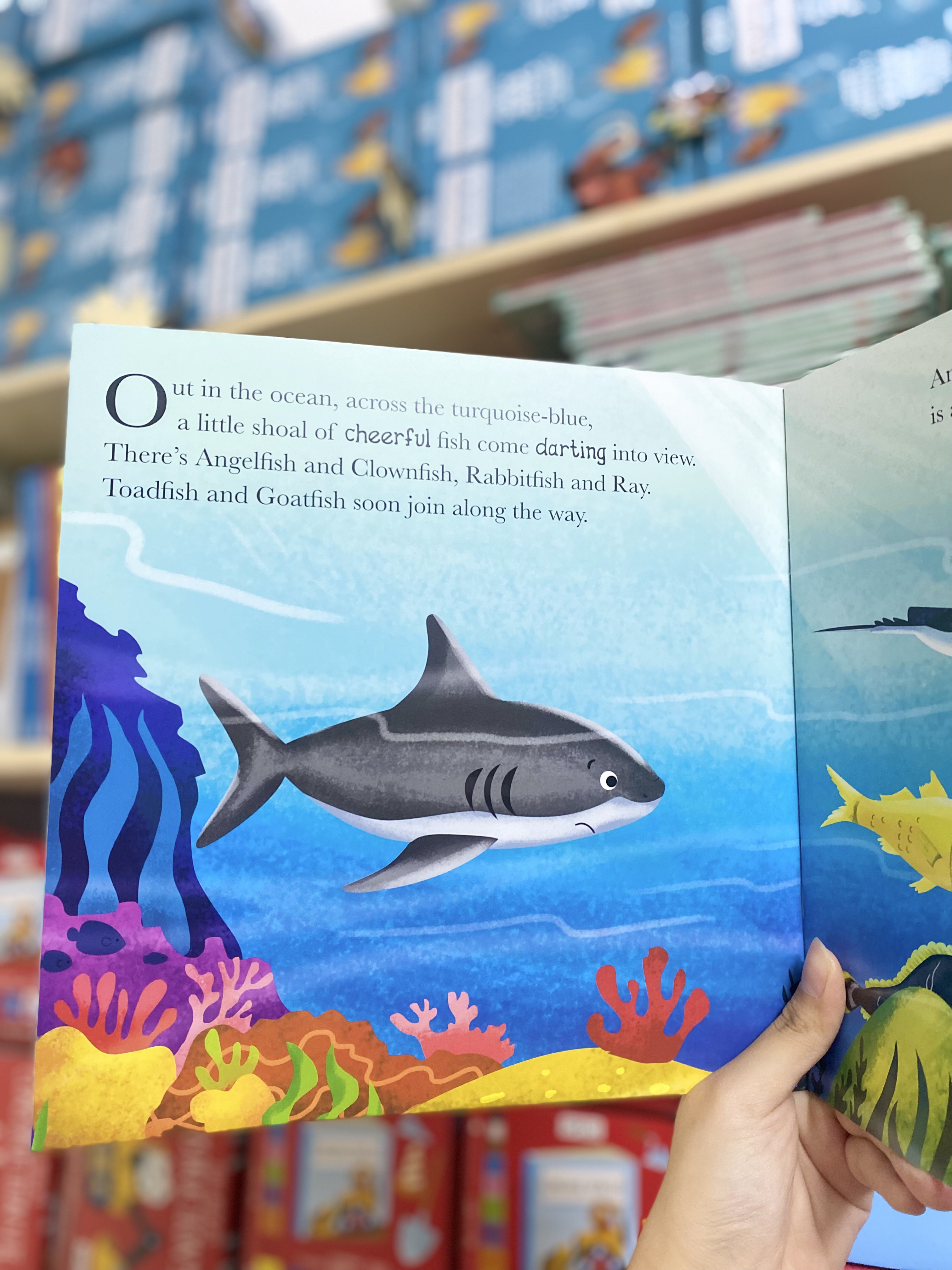 When Shark learns to Share ( set me and my feeling )_thumbnail_2