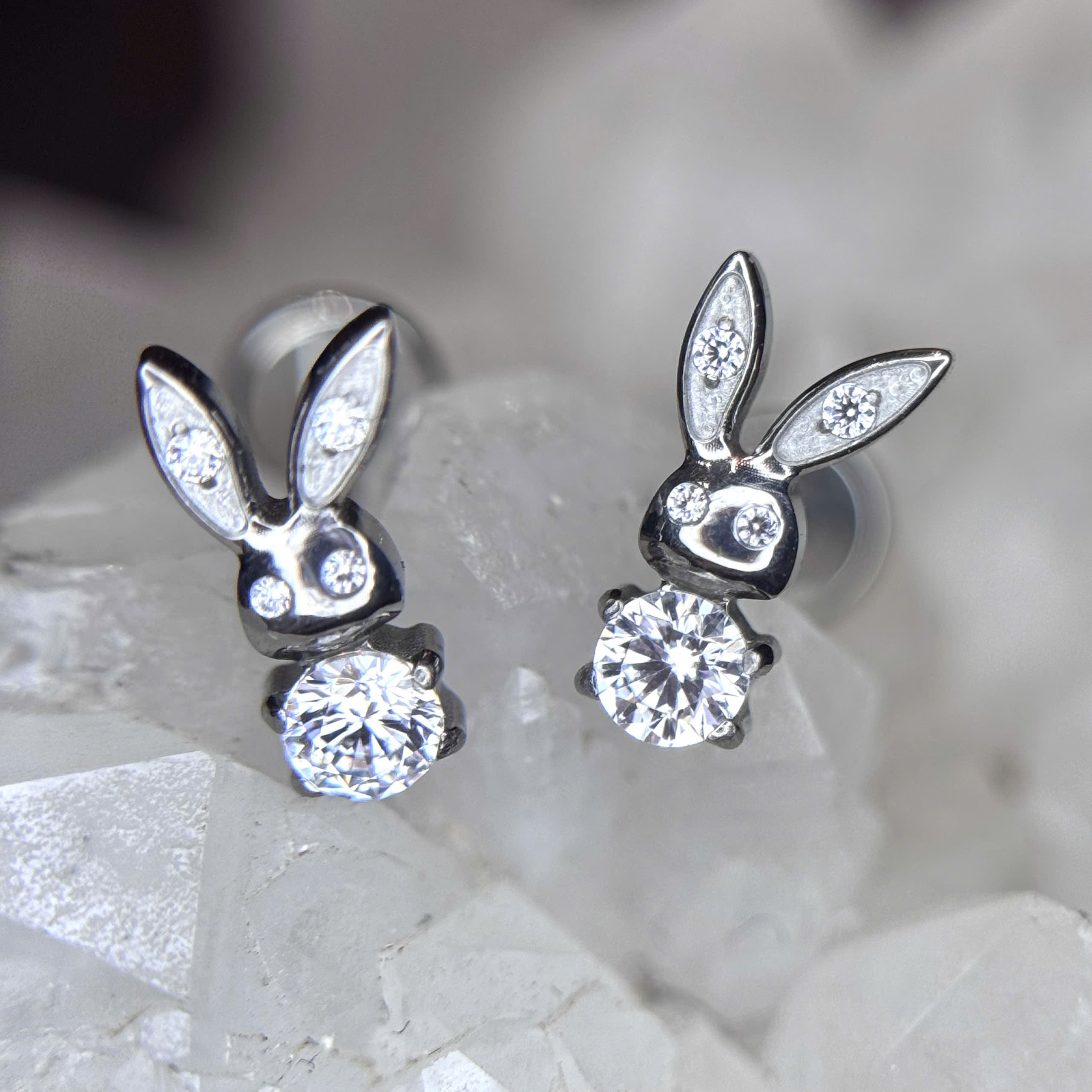 Khuyên kiểu titan thỏ đá_thumbnail_1