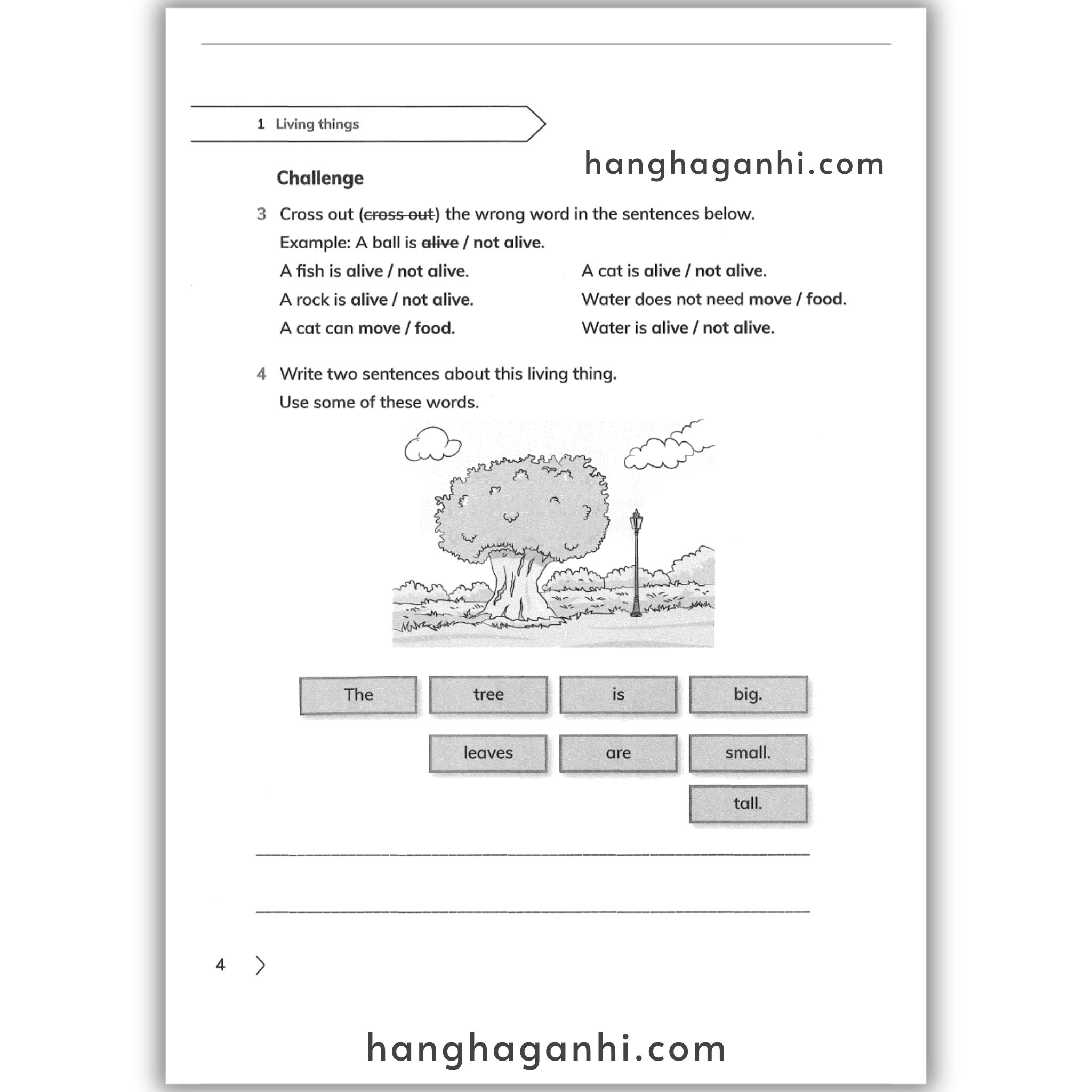 Cambridge Level 1 Primary Science Learner’s Book and Workbook 2nd edition 2021_thumbnail_12