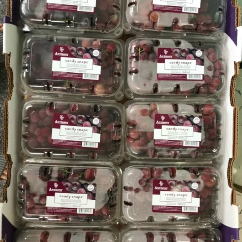 Nho Kẹo Mỹ (Anthony)_thumbnail_3