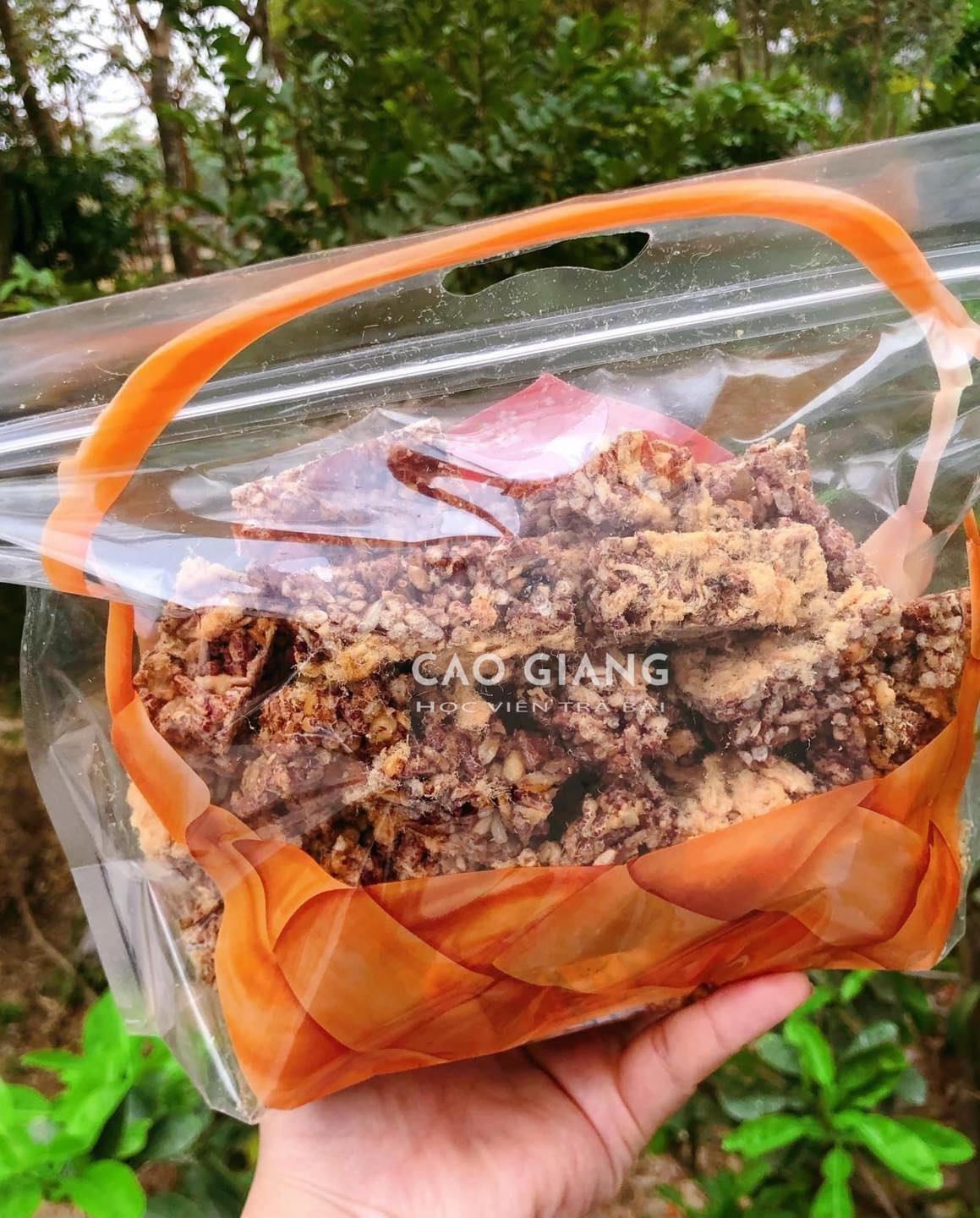 Lớp Lạc Ngũ Vị_thumbnail_8