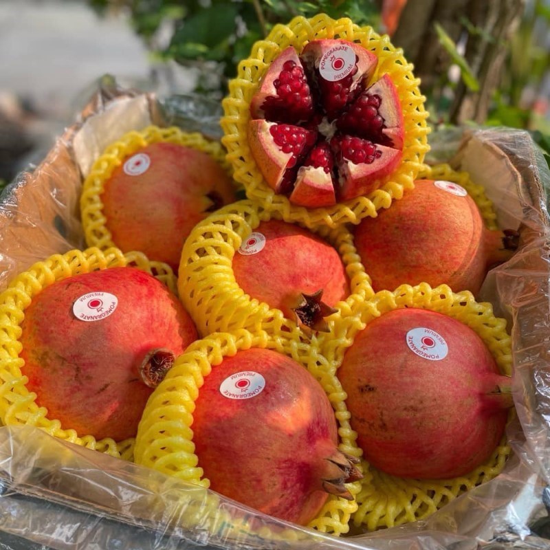 Lựu Đỏ Peru_thumbnail_2