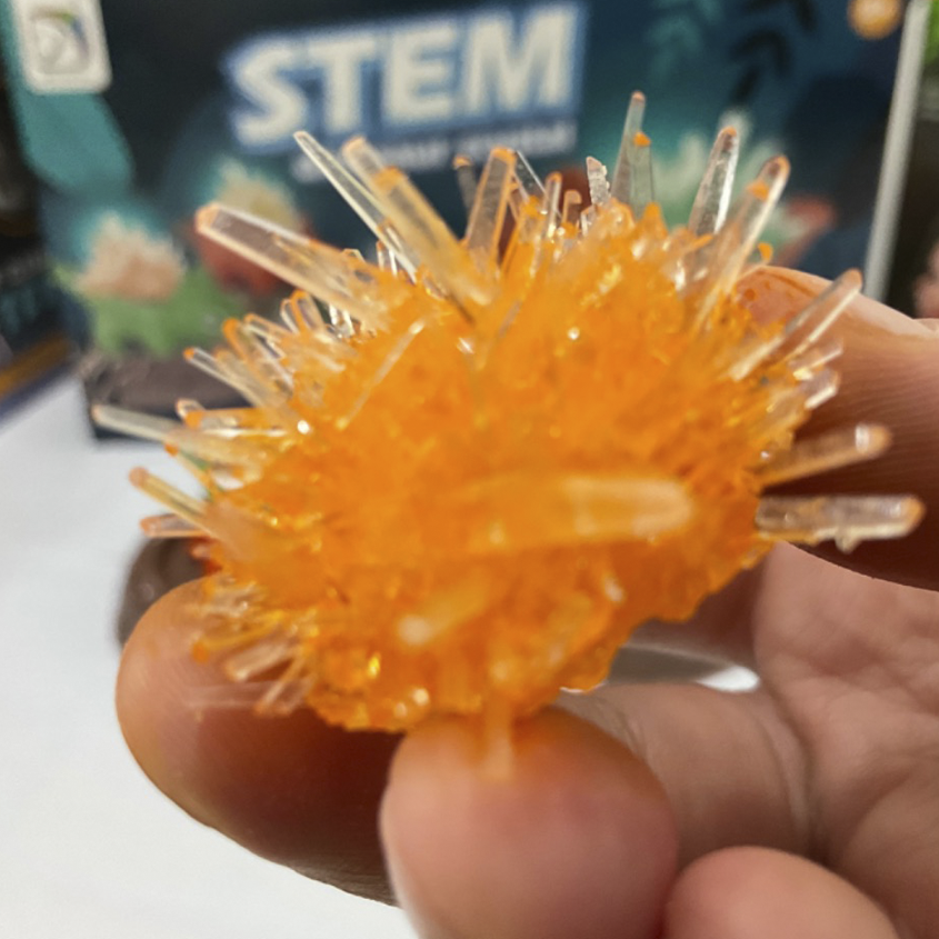 STEM Dinosaur Crystal_thumbnail_2