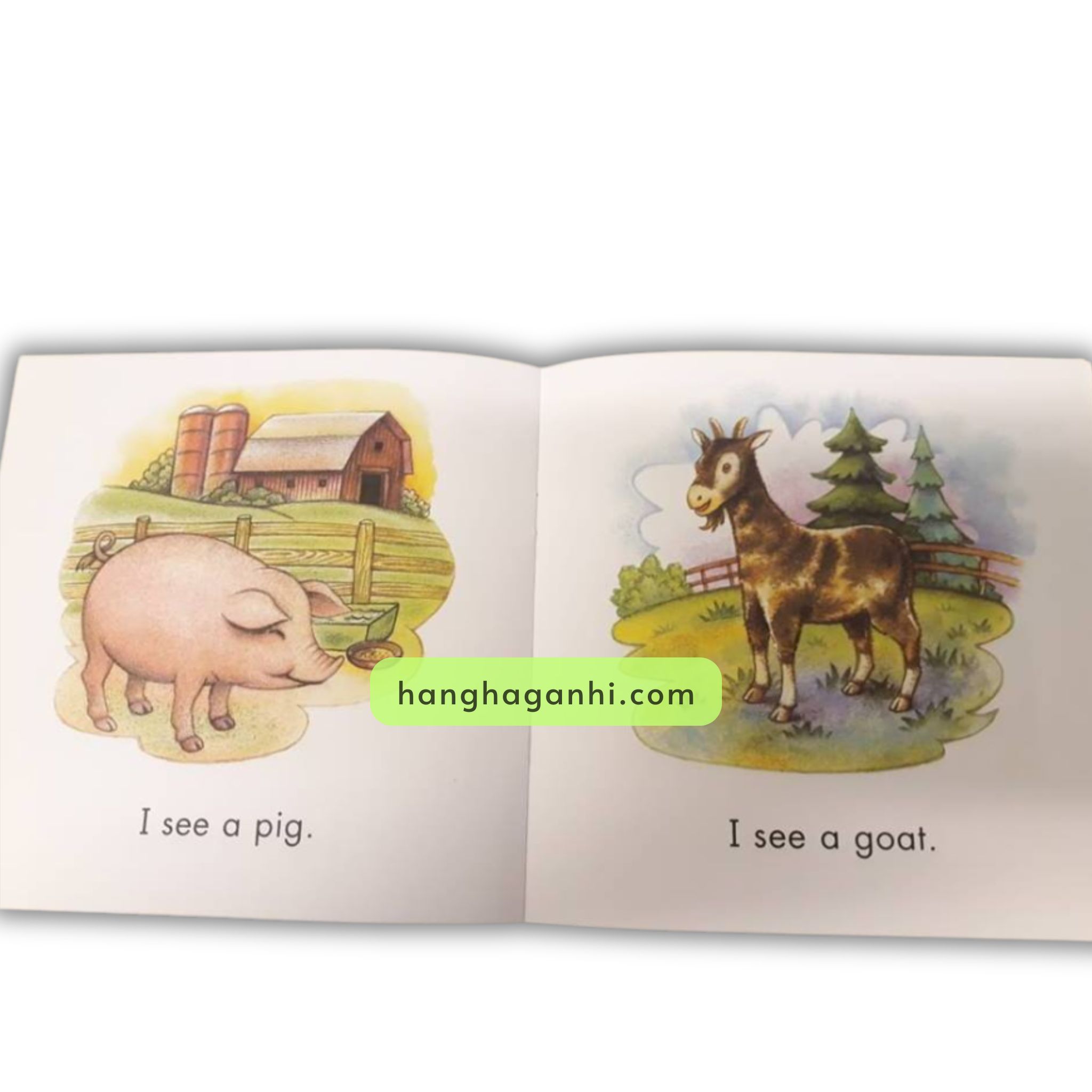 Sách nhập Sight word readers Trọn bộ 26 quyển_thumbnail_6