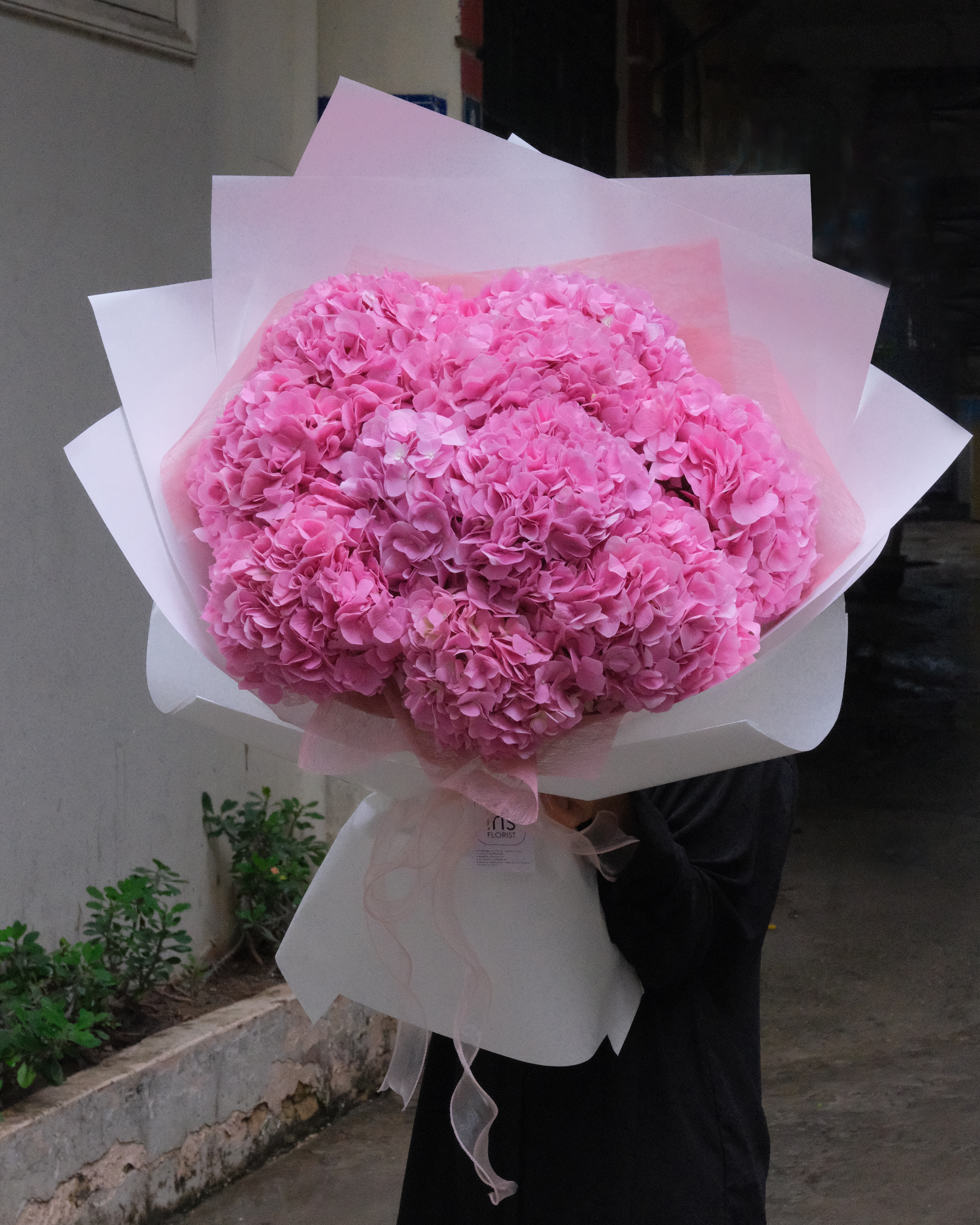 Bó Tú cầu hồng - 10 cành