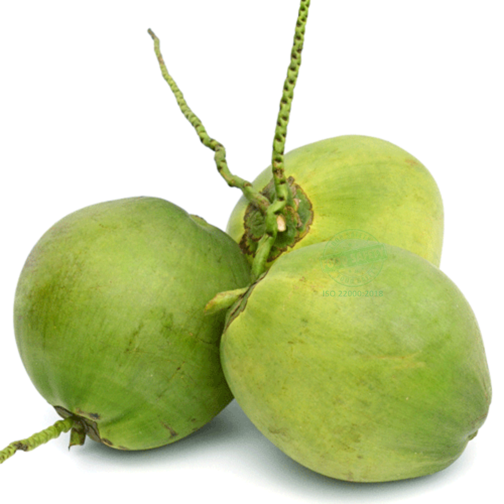 Qủa dừa tươi ( trái )