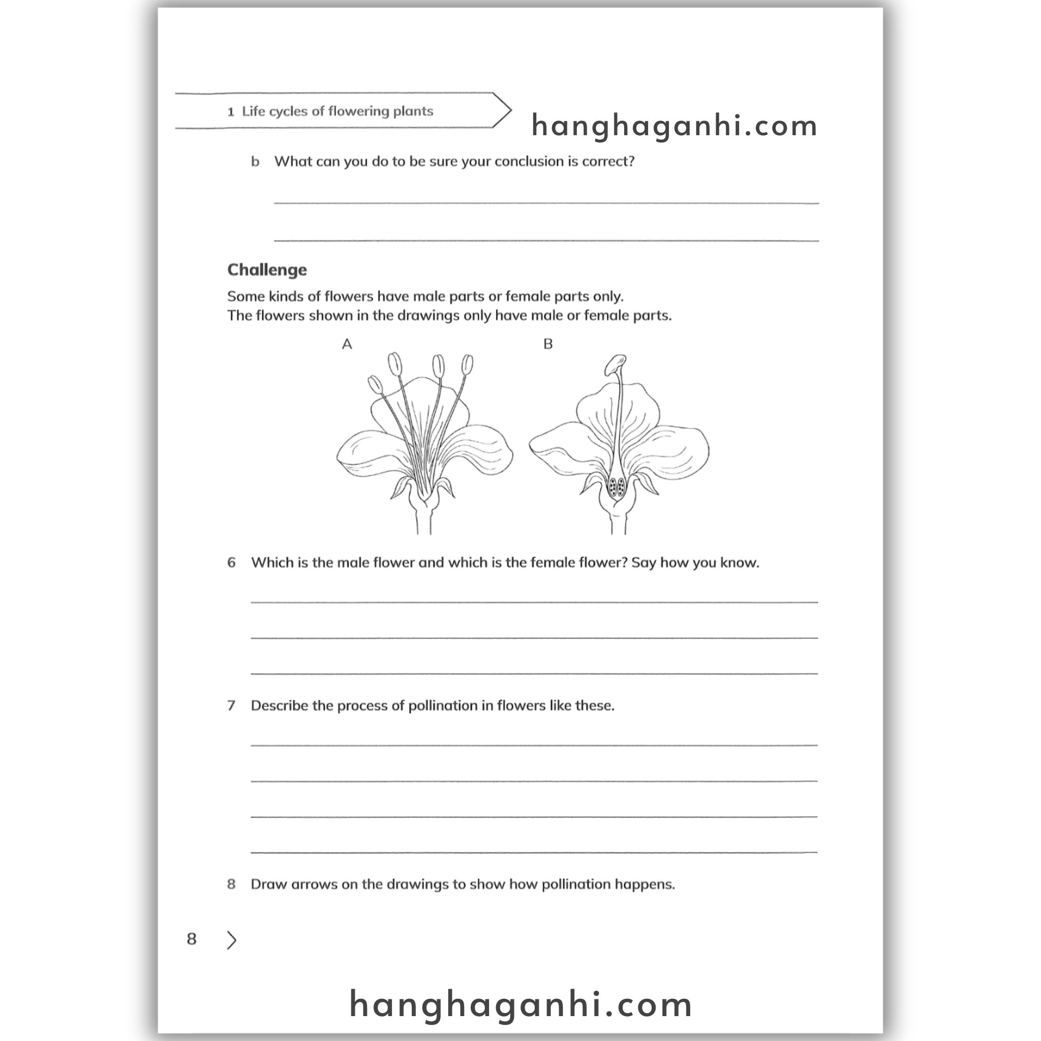 Cambridge Level 5 Primary Science Learner’s Book and Workbook 2nd edition 2021_thumbnail_11