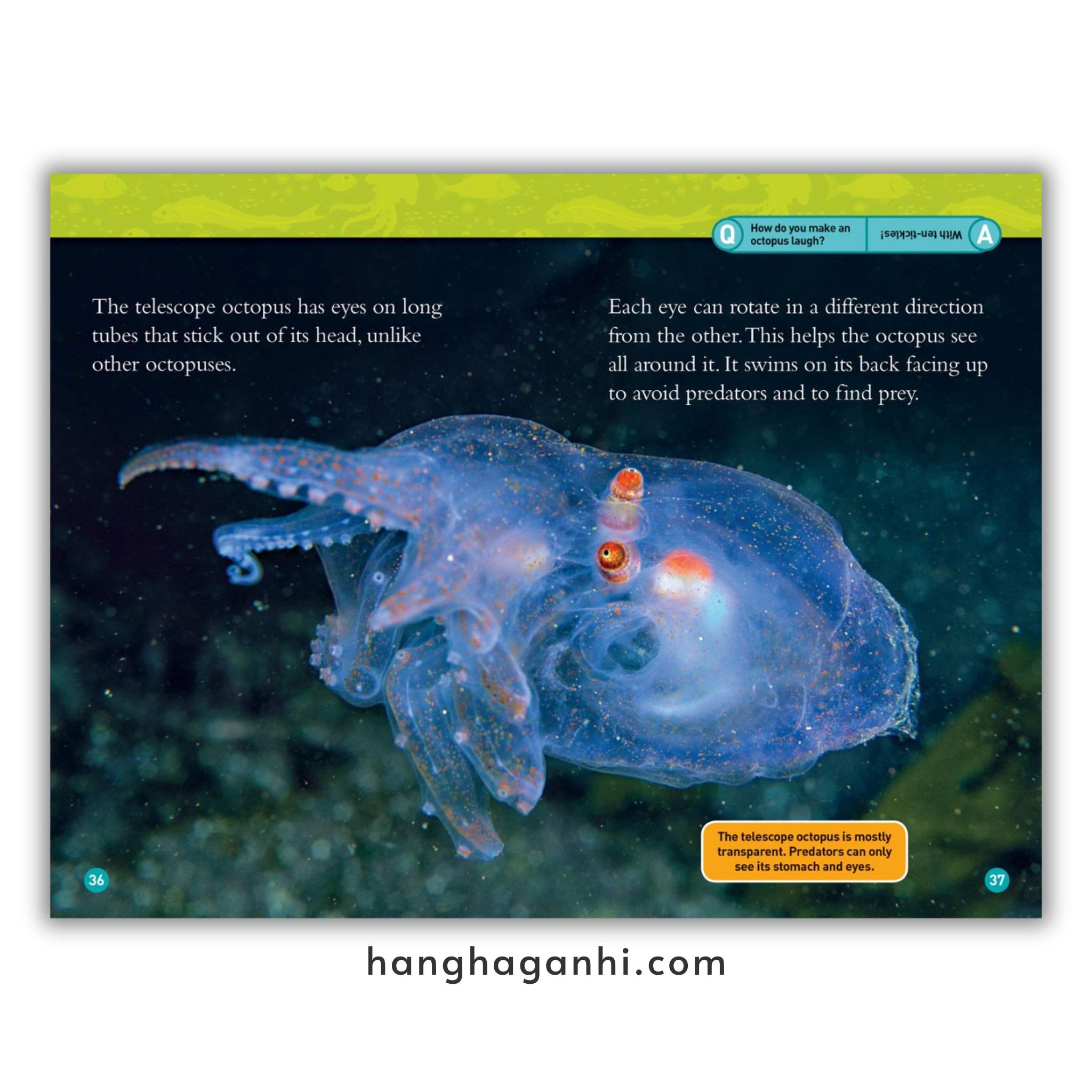 Bộ 38 cuốn National Geographic Kids level 3 - sách Khoa học tiếng Anh nhập khẩu, nguyên seal_thumbnail_15