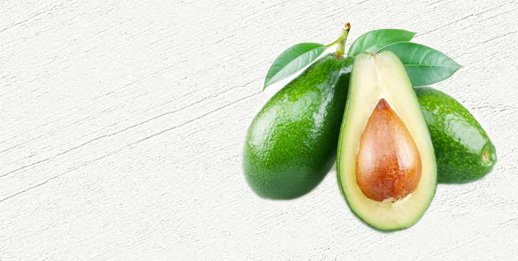 organic2-h-banner4-1