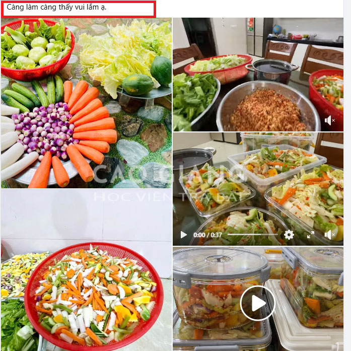 Lớp Kim Chi Thập Cẩm Việt Nam_thumbnail_13