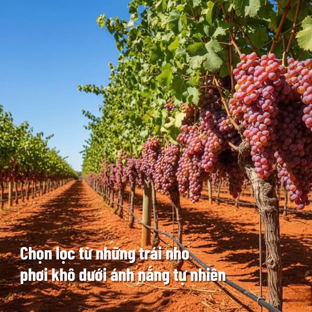 Nho khô Nguyên cành Úc Crimson 100%_thumbnail_2