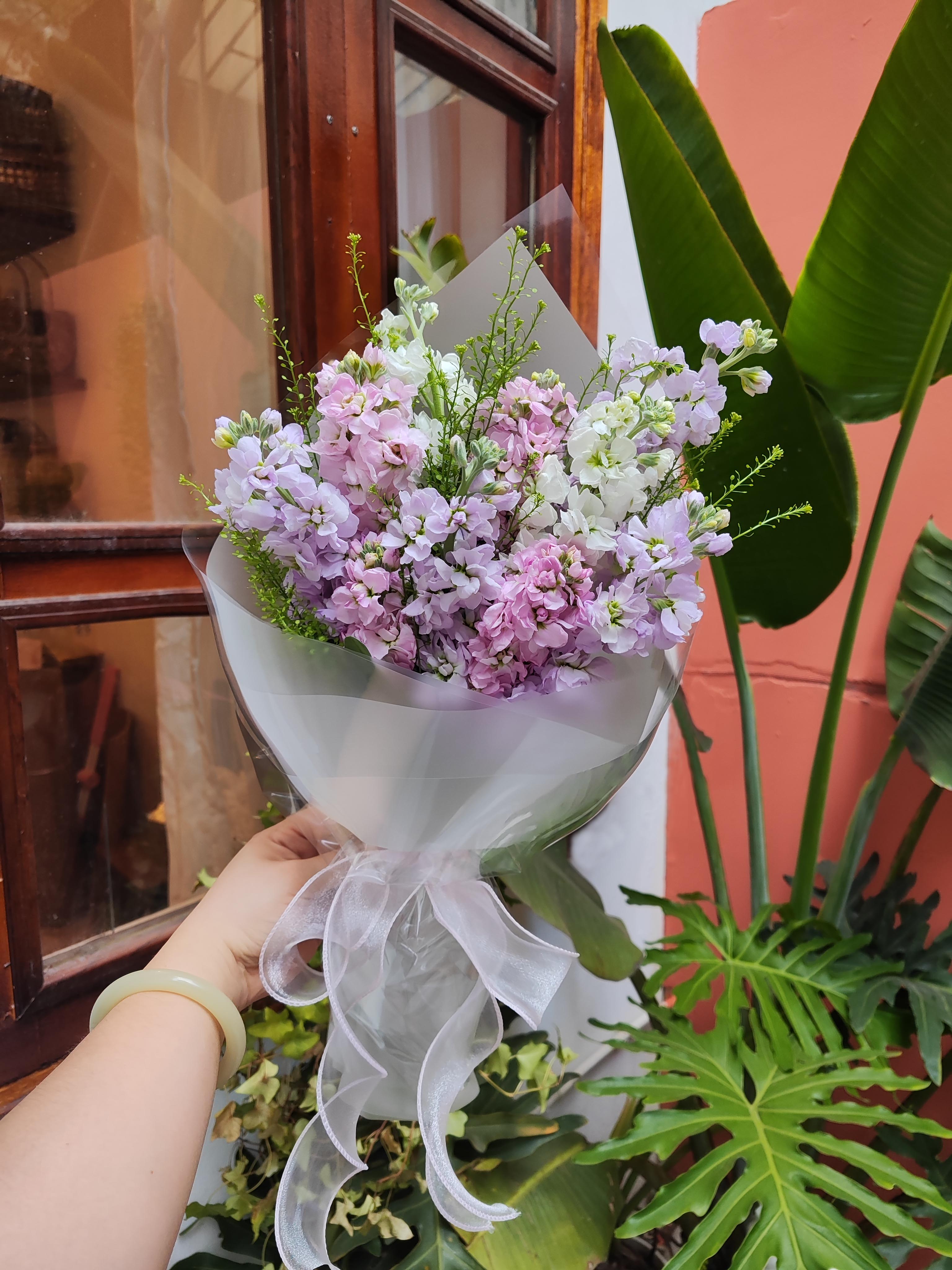 Bó phi yến mix màu - size S