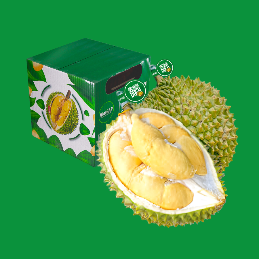 Trái Khui sầu - Sầu Riêng Ri6 MIỀN ĐÔNG ( VIETGAP )