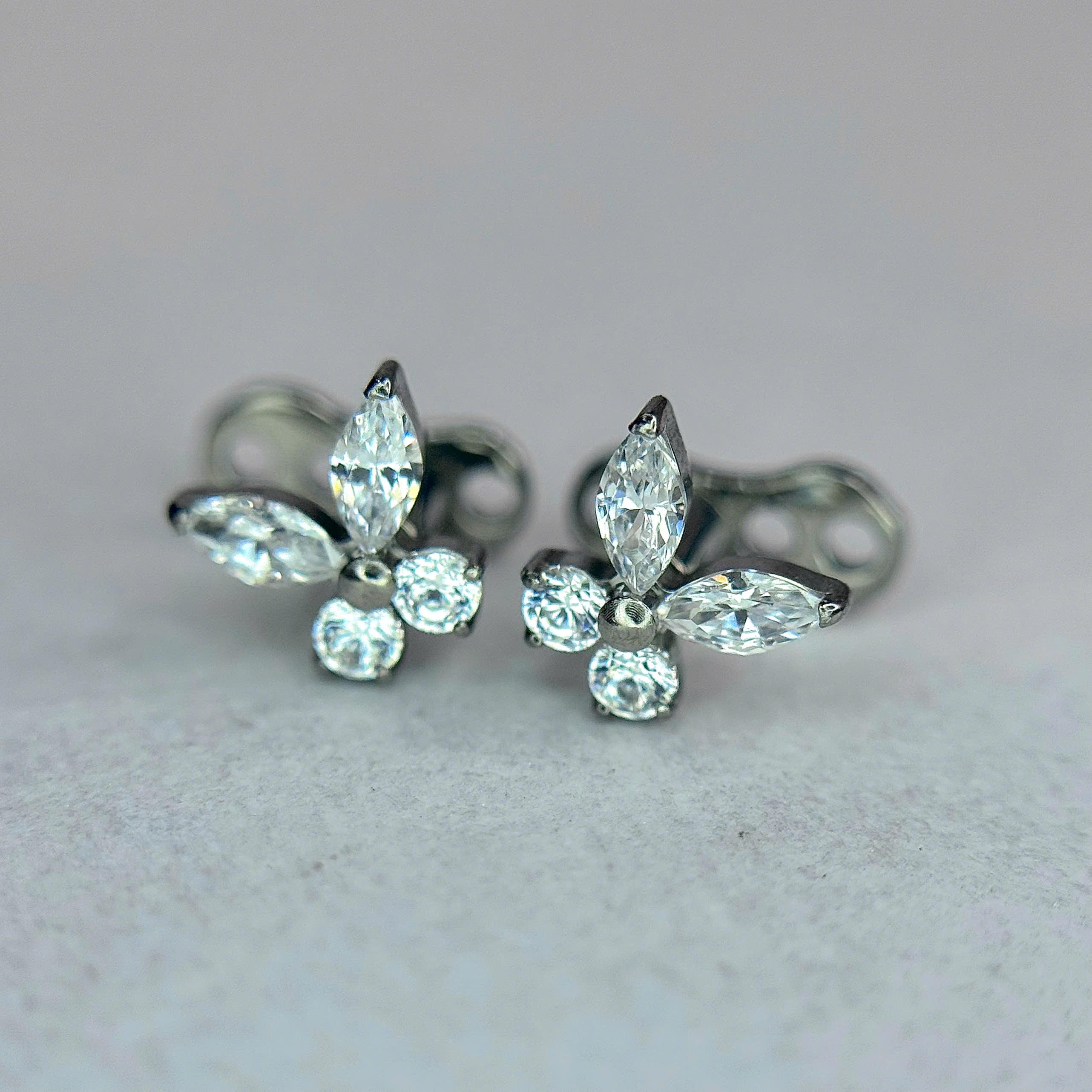 Khuyên cấy titan bướm cánh dọc