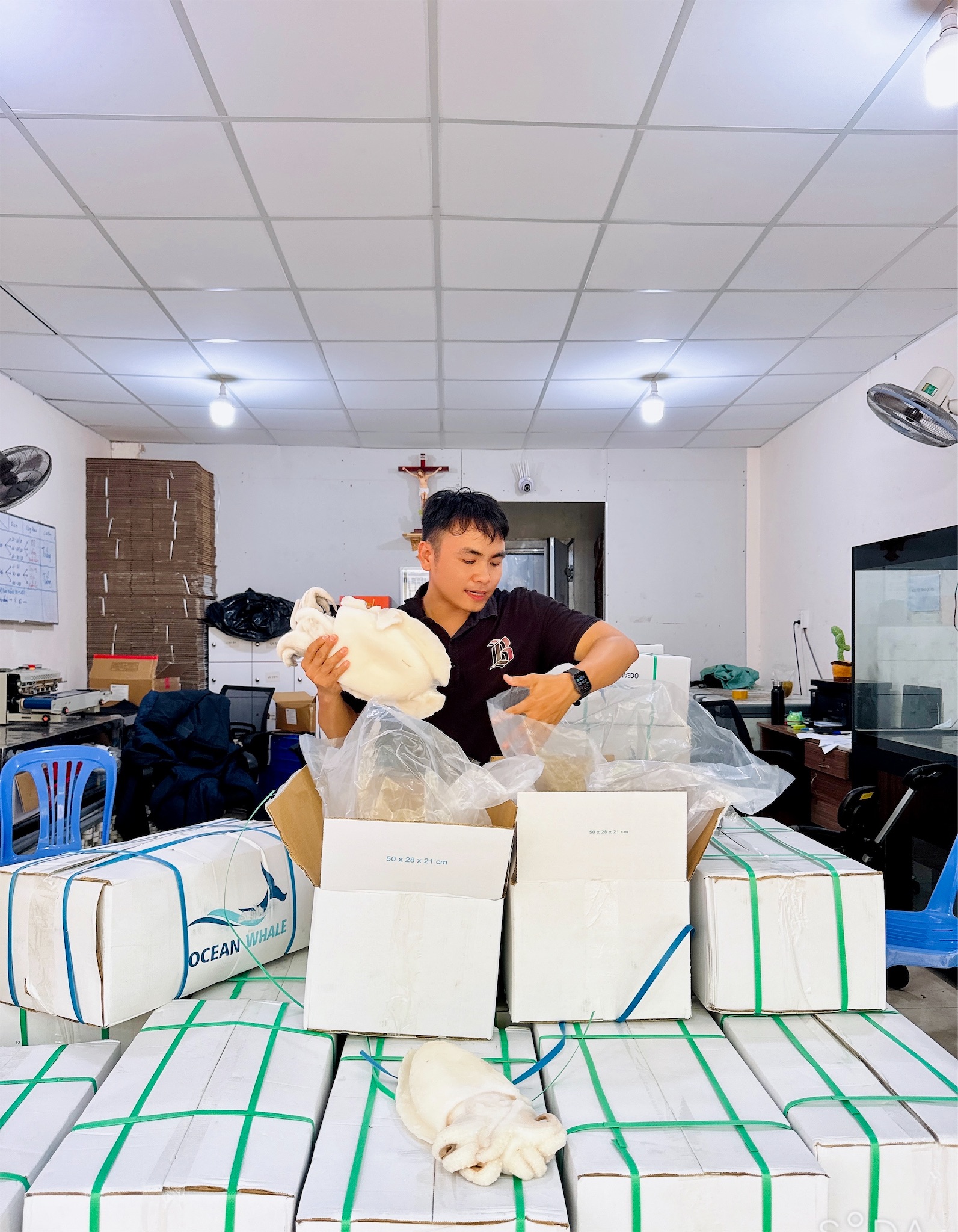 Mực nang làm sạch Loại 1_thumbnail_1