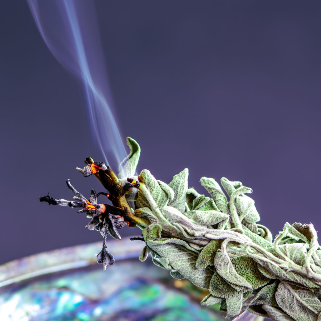 SẢN PHẨM KHÁC_7