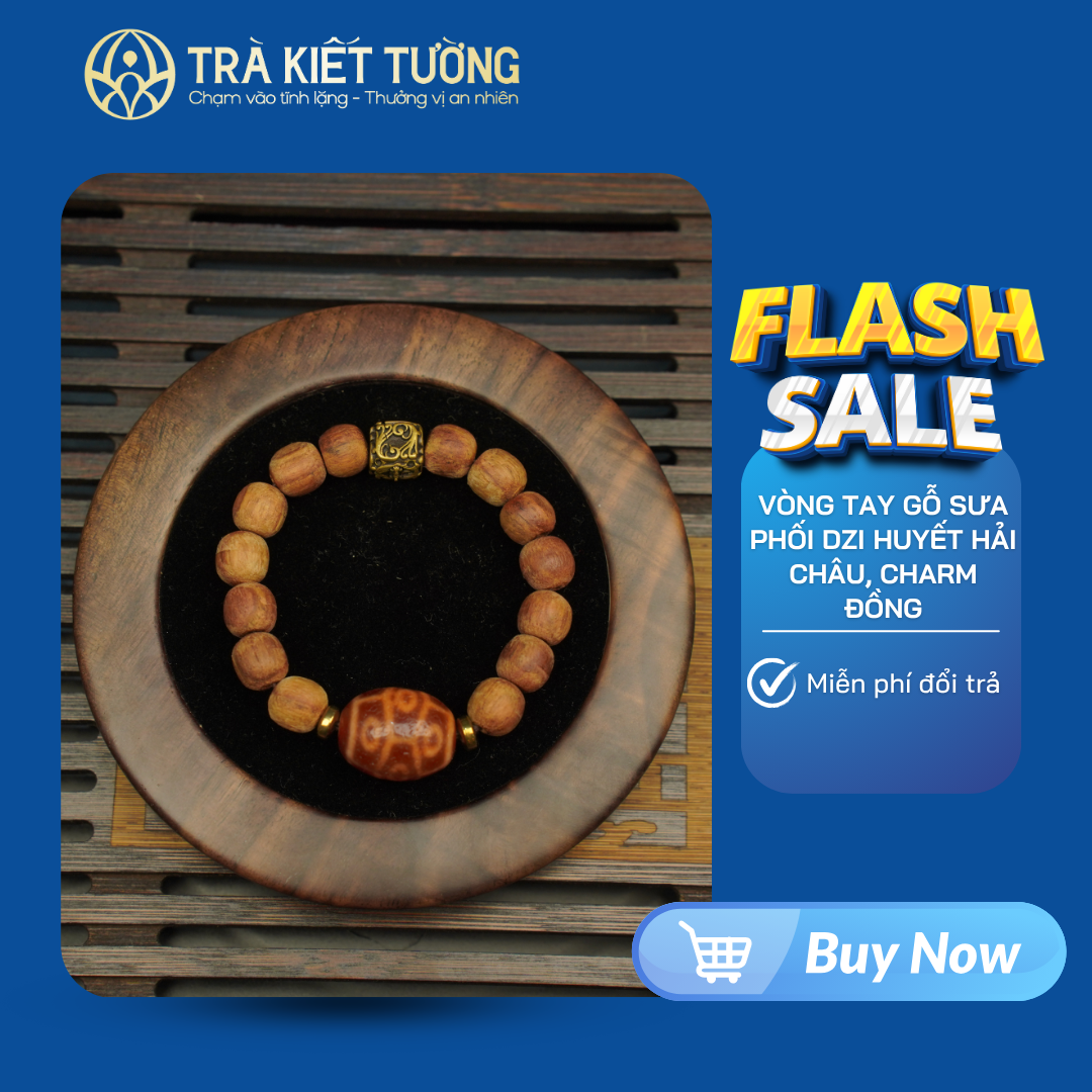 VÒNG TAY GỖ SƯA PHỐI DZI HUYẾT HẢI CHÂU, CHARM ĐỒNG