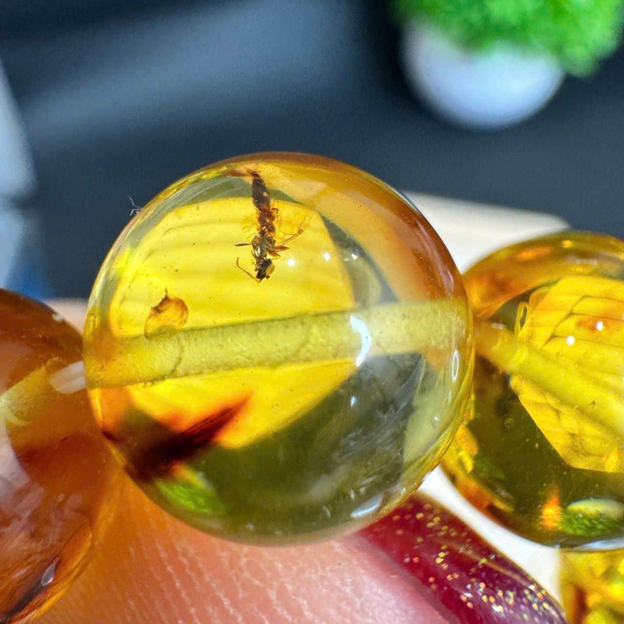 Chuỗi Lắc Tay Full Côn Trùng - M29_thumbnail_5