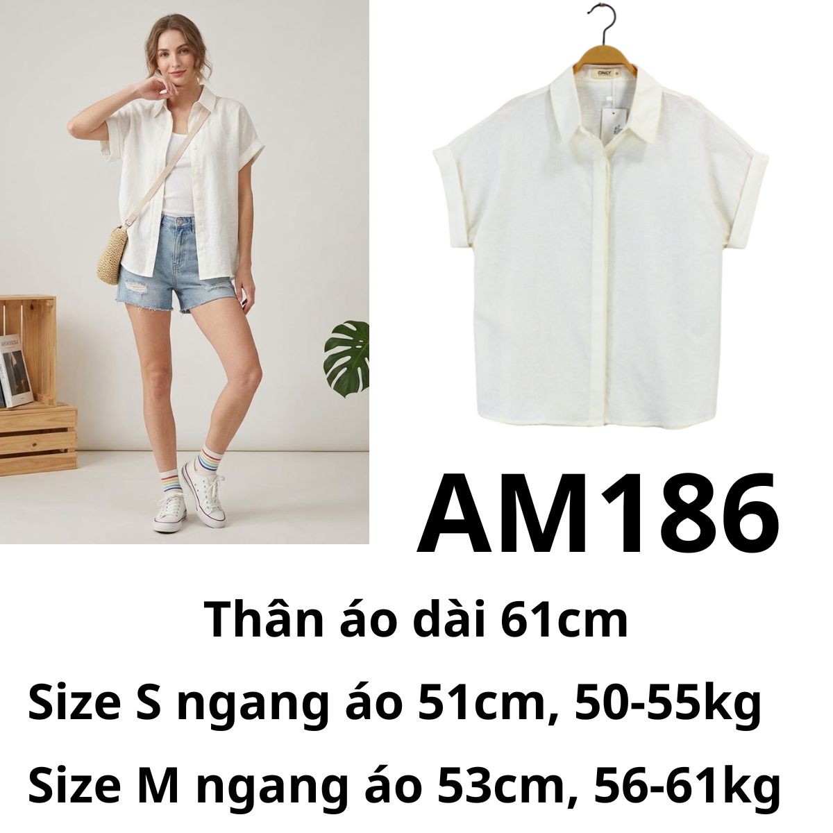 AM186 ÁO SƠ MI TRẮNG