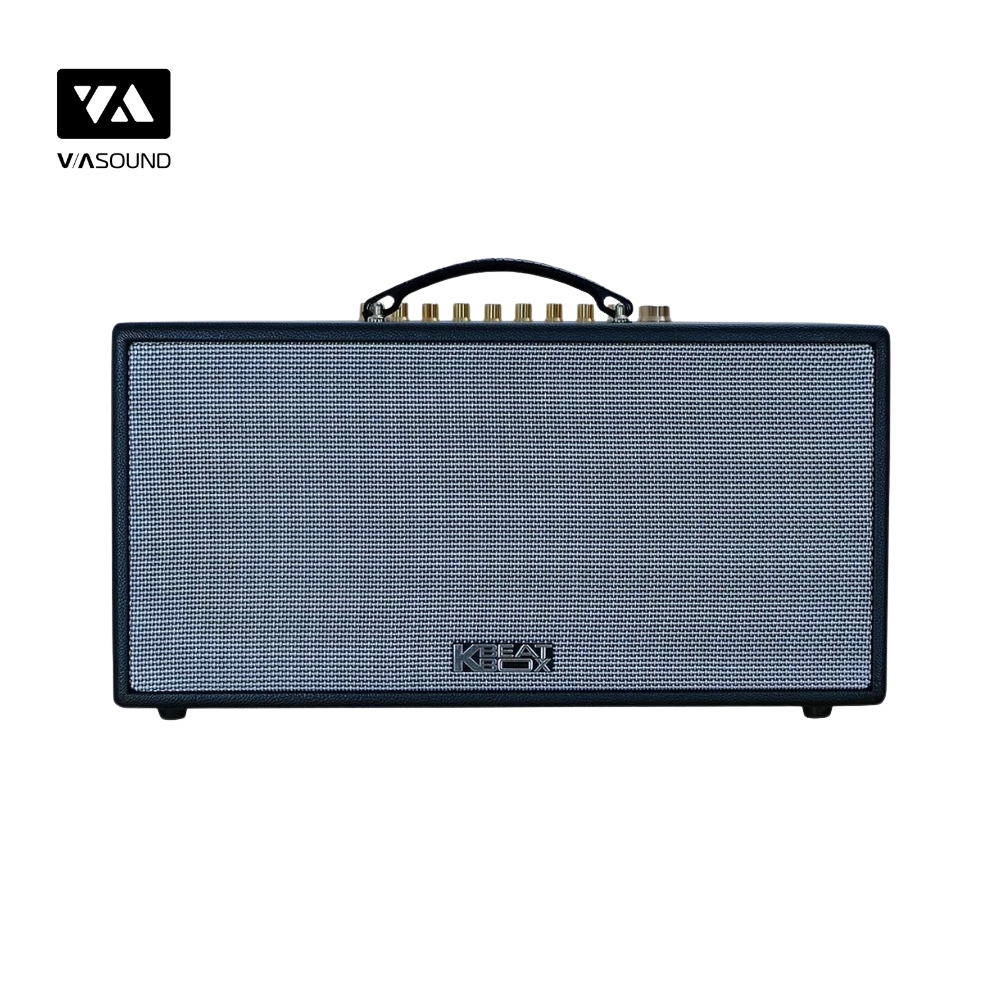 Loa Xách Tay ACNOS CS445D