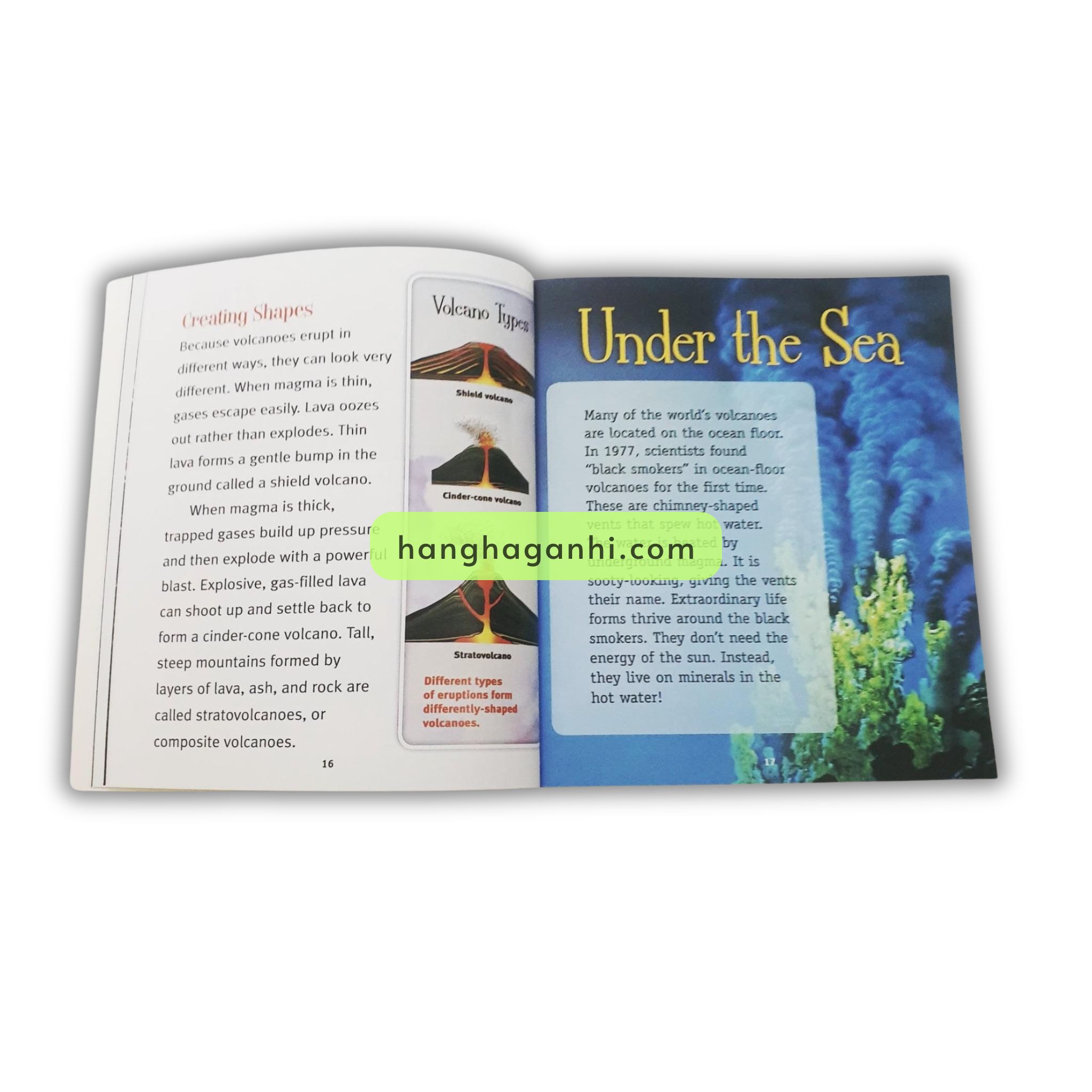 Bộ 18 cuốn True Book Sách nhập khẩu_thumbnail_12