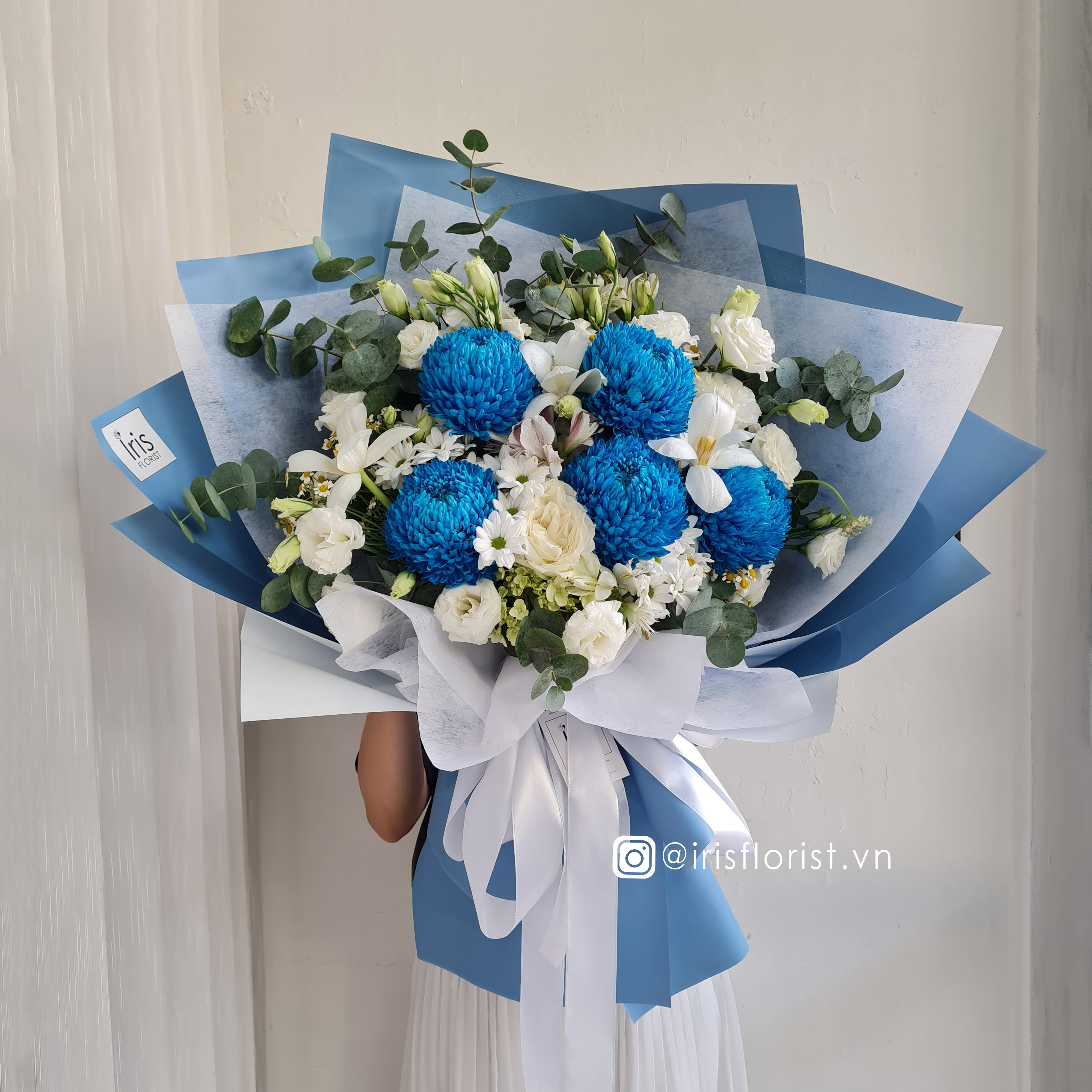 Cúc Mẫu đơn xanh mix trắng - Super Big Size