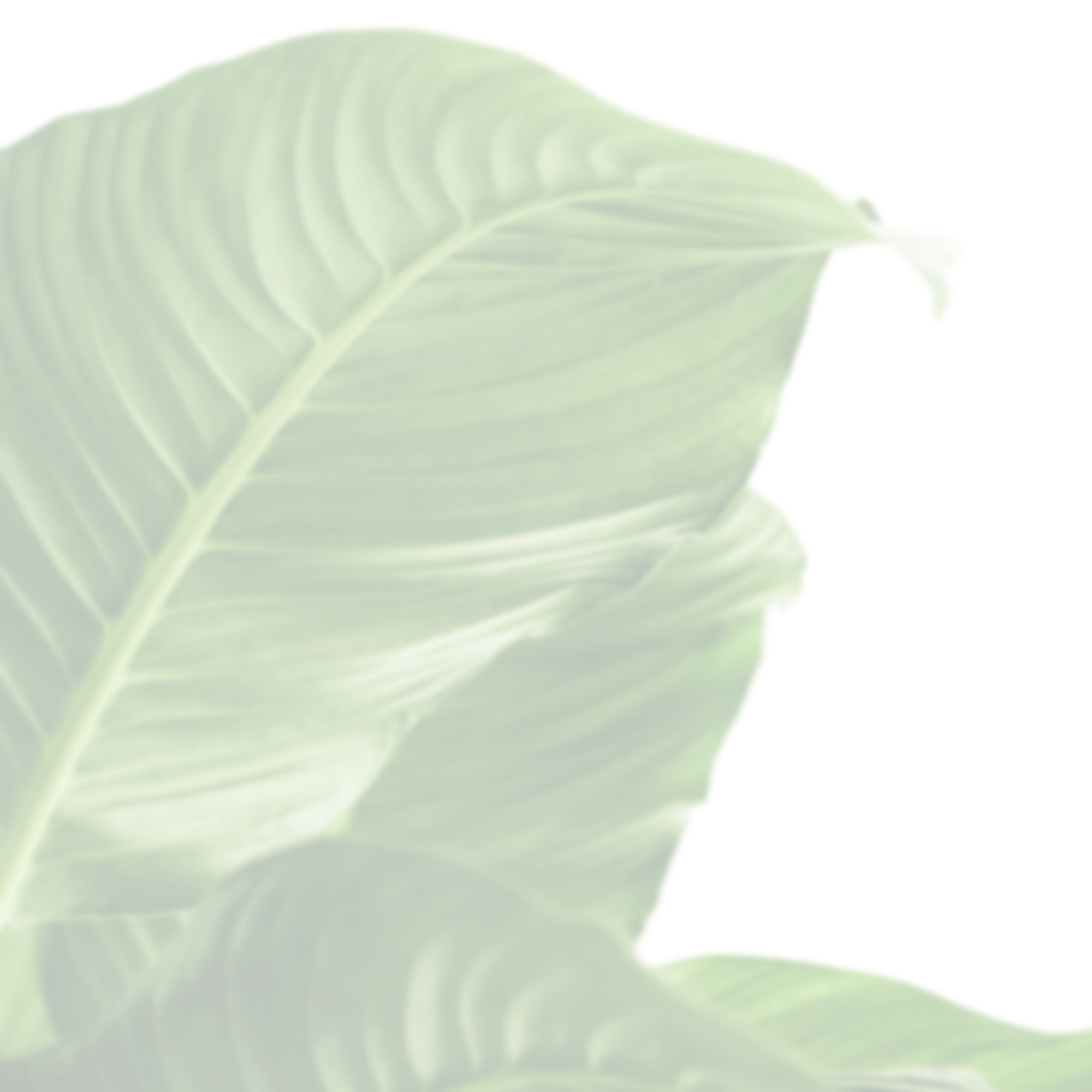 beautiful-shot-exotic-tropical-leaves(1)