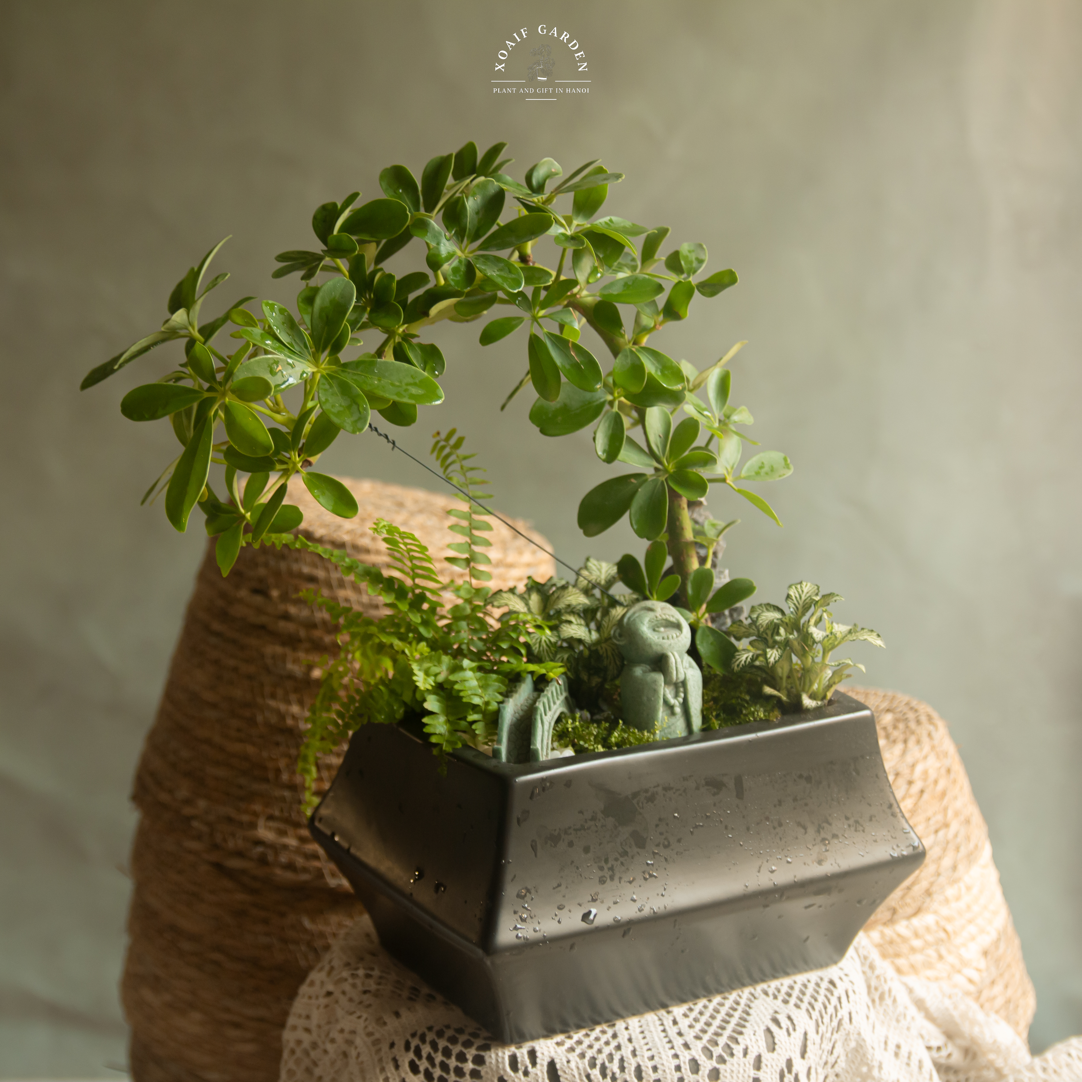 SET MIX PHONG THỦY NGŨ GIA BÌ BONSAI_thumbnail_4