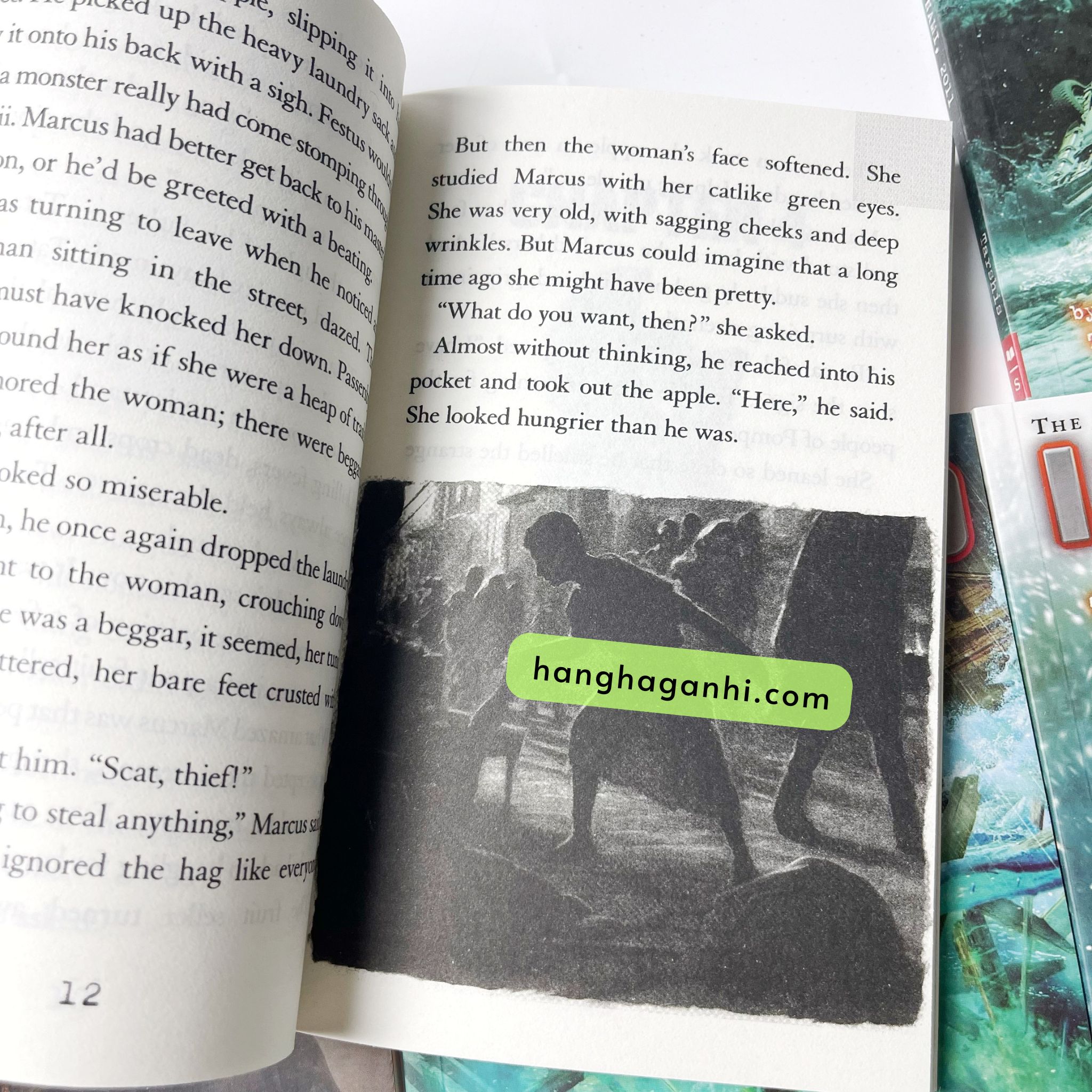 I Survived – Trọn Bộ 21 Cuốn Kèm Audio[Sách Nhập Khẩu]_thumbnail_7