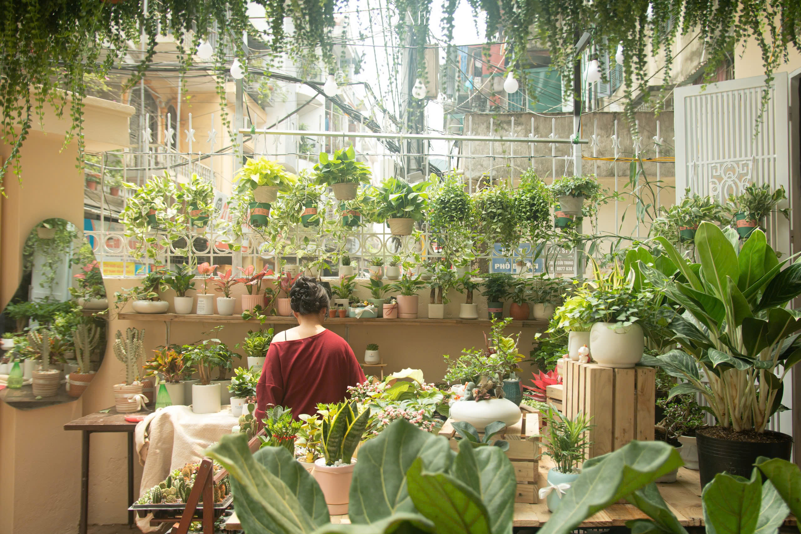 z6503250322382_667ba893cfe0964eec378716f6775e80