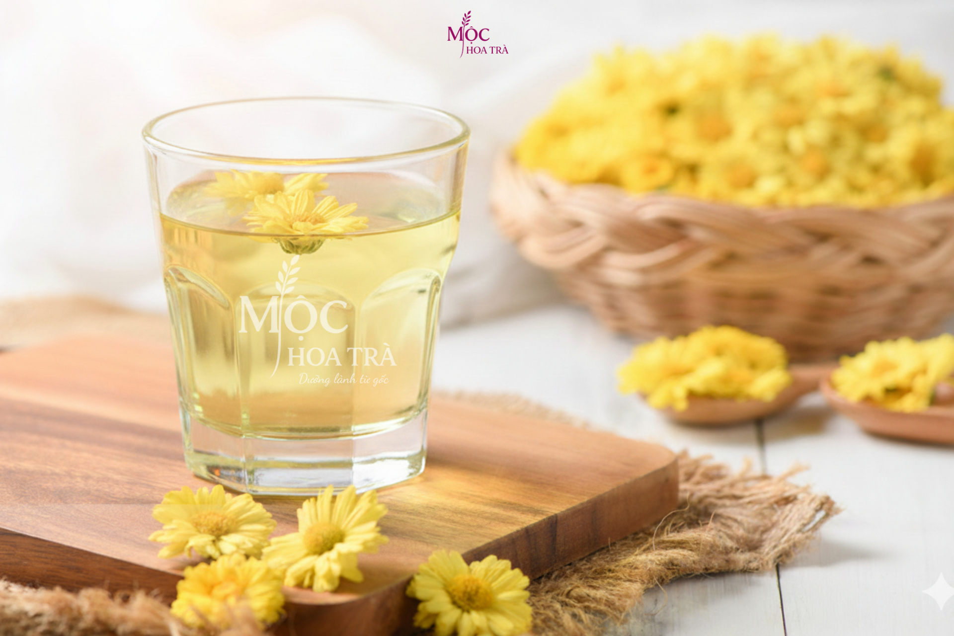 Trà Hoa Cúc Loại Nào Tốt? Phân Biệt 7 Loại Cúc Làm Trà Ngon Nhất