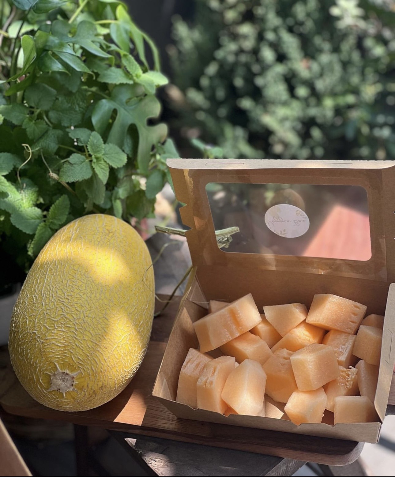 Dưa lưới Huỳnh Long_thumbnail_1