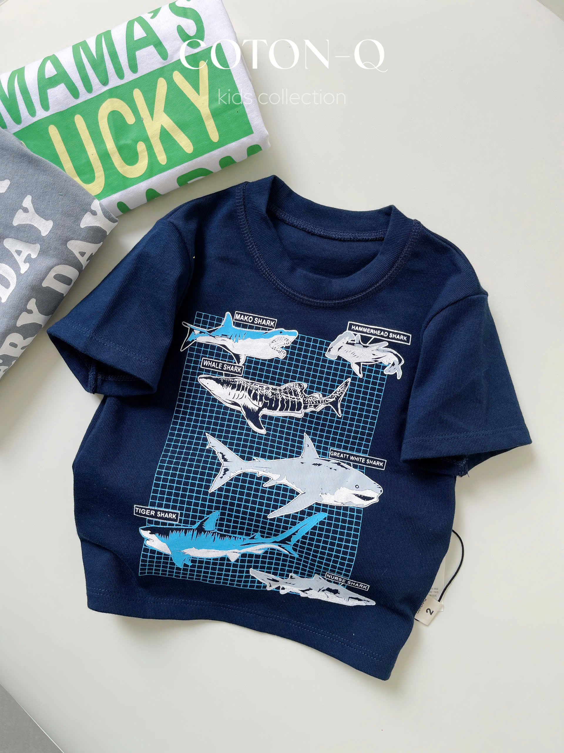 Set 3 áo thun cổ tròn bé ( NGẪU NHIÊN )_thumbnail_6